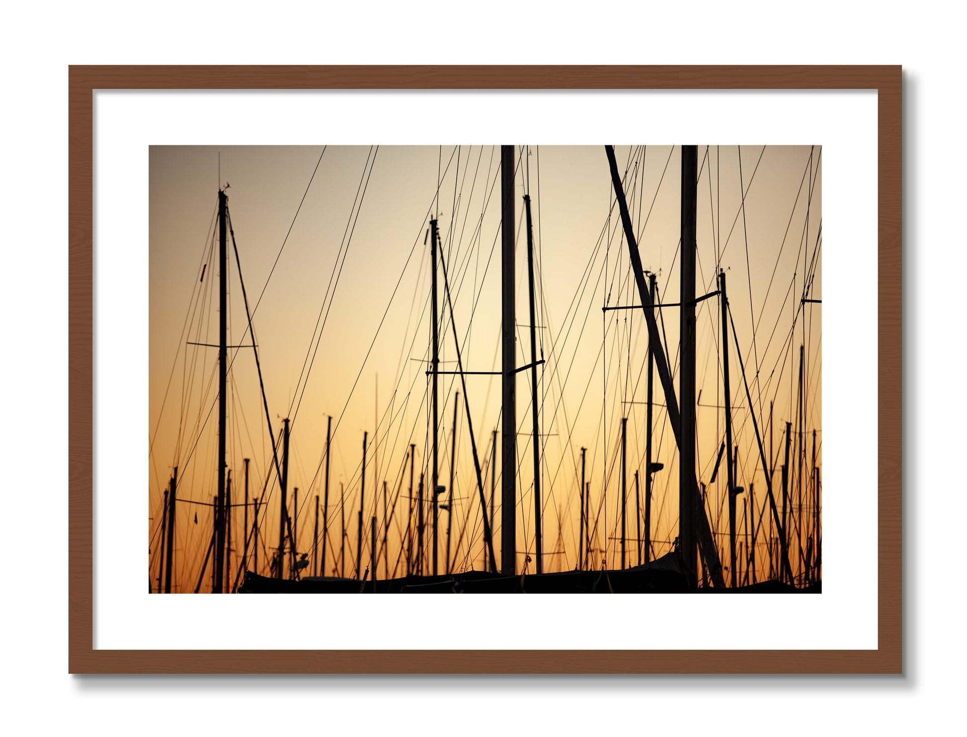 Framed photograph of Sail by Dylan Ozanich, Walnut frame, Borders