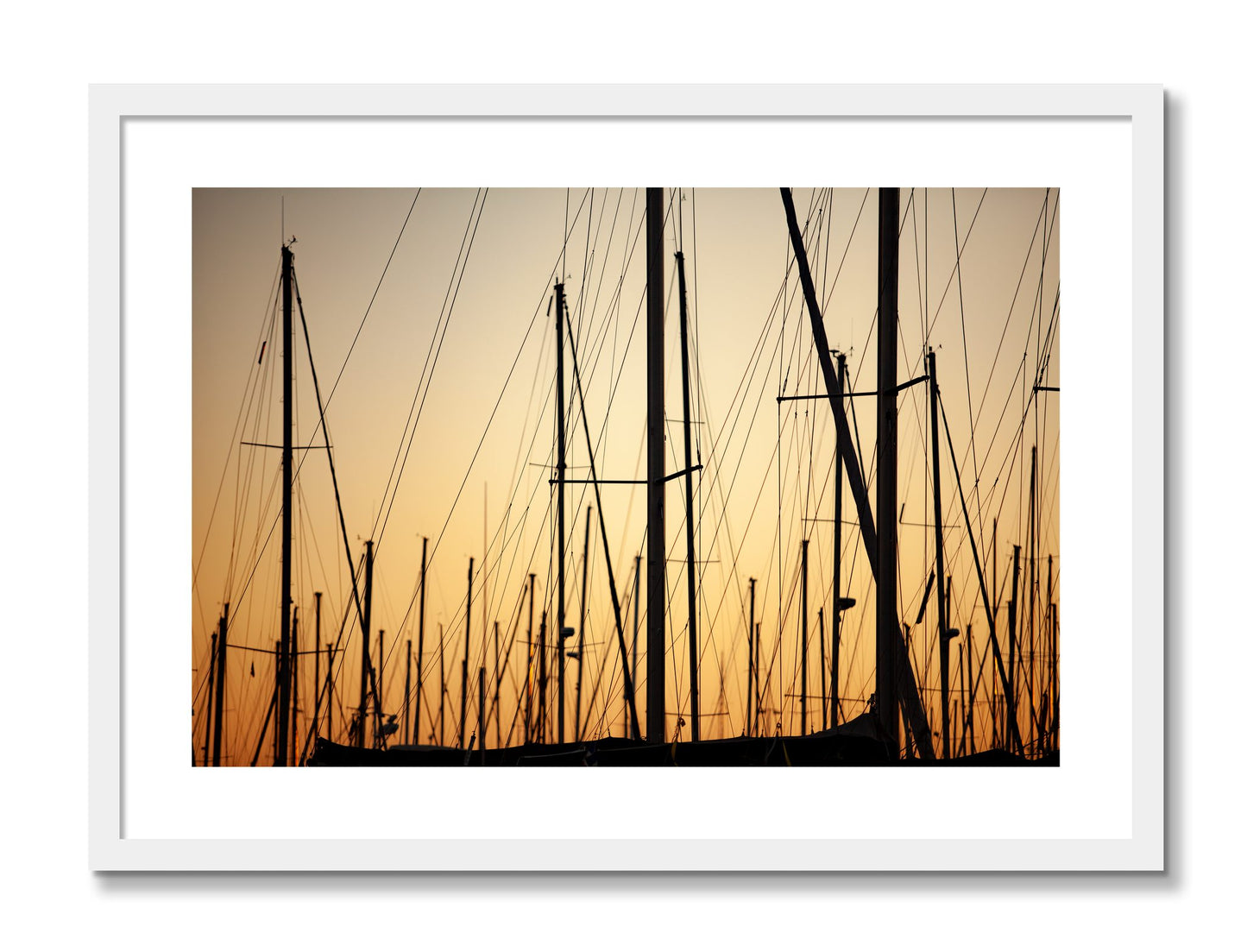 Framed photograph of Sail by Dylan Ozanich, White frame, Borders