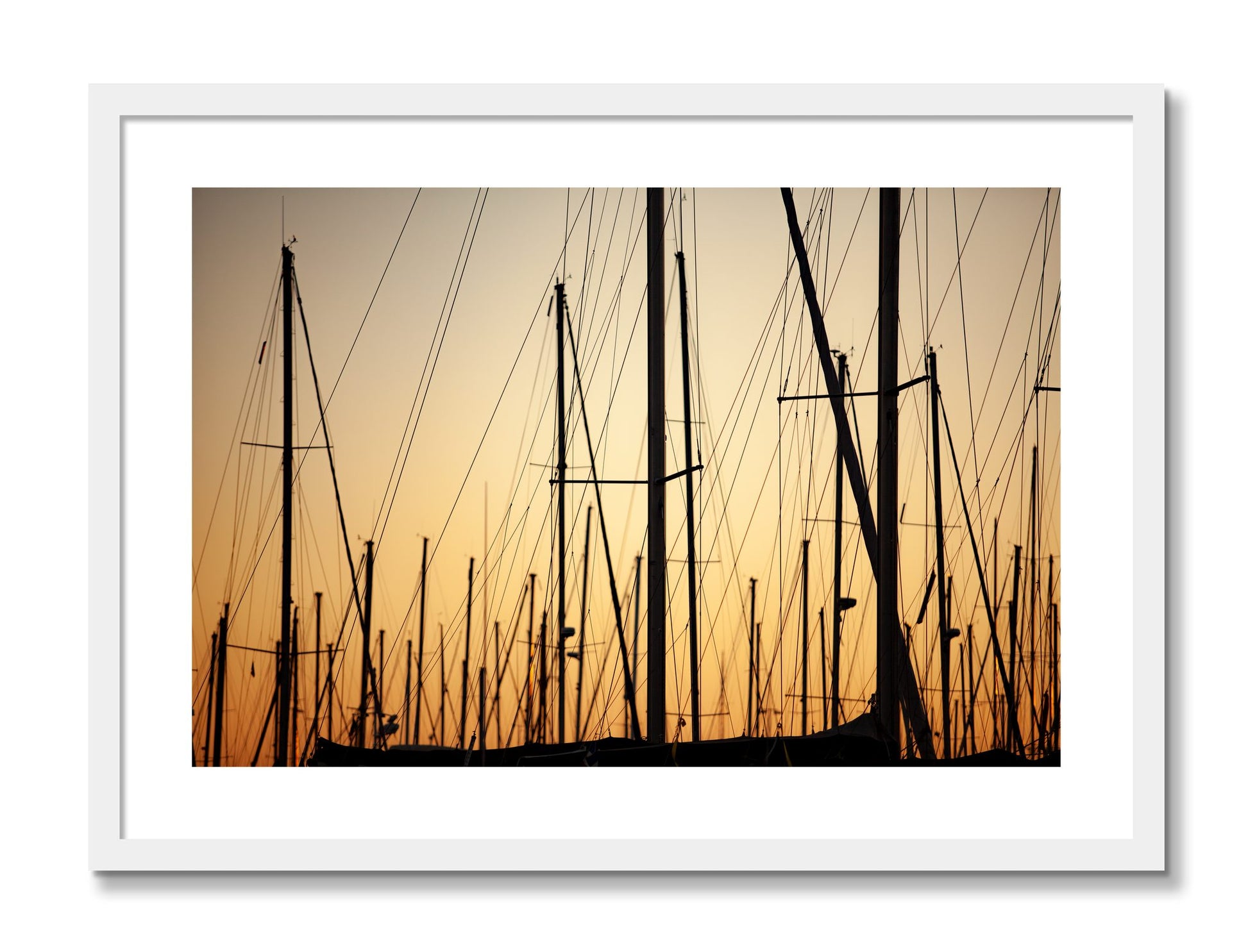 Framed photograph of Sail by Dylan Ozanich, White frame, Borders