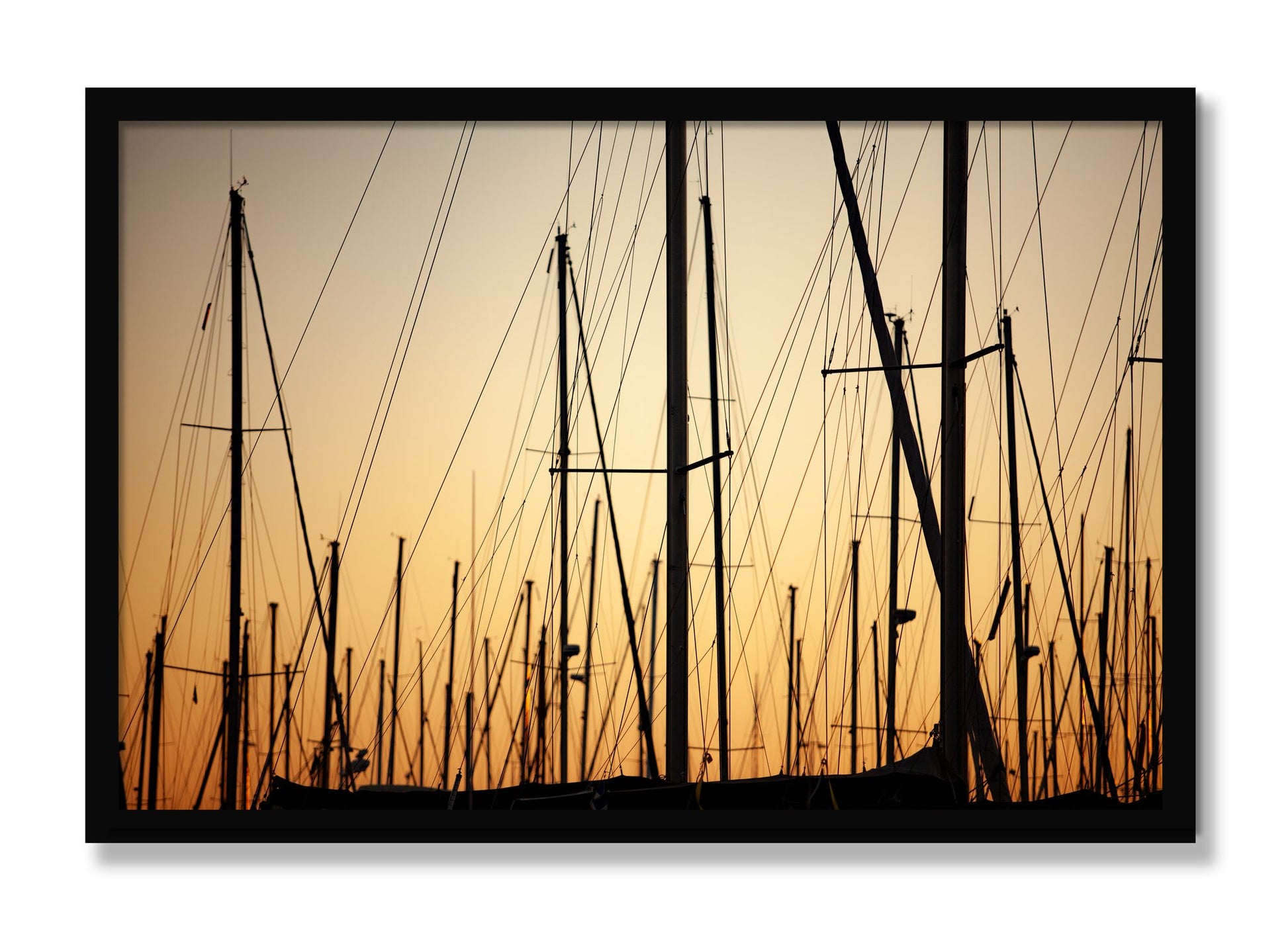 Framed photograph of Sail by Dylan Ozanich, Black frame, Full Bleed