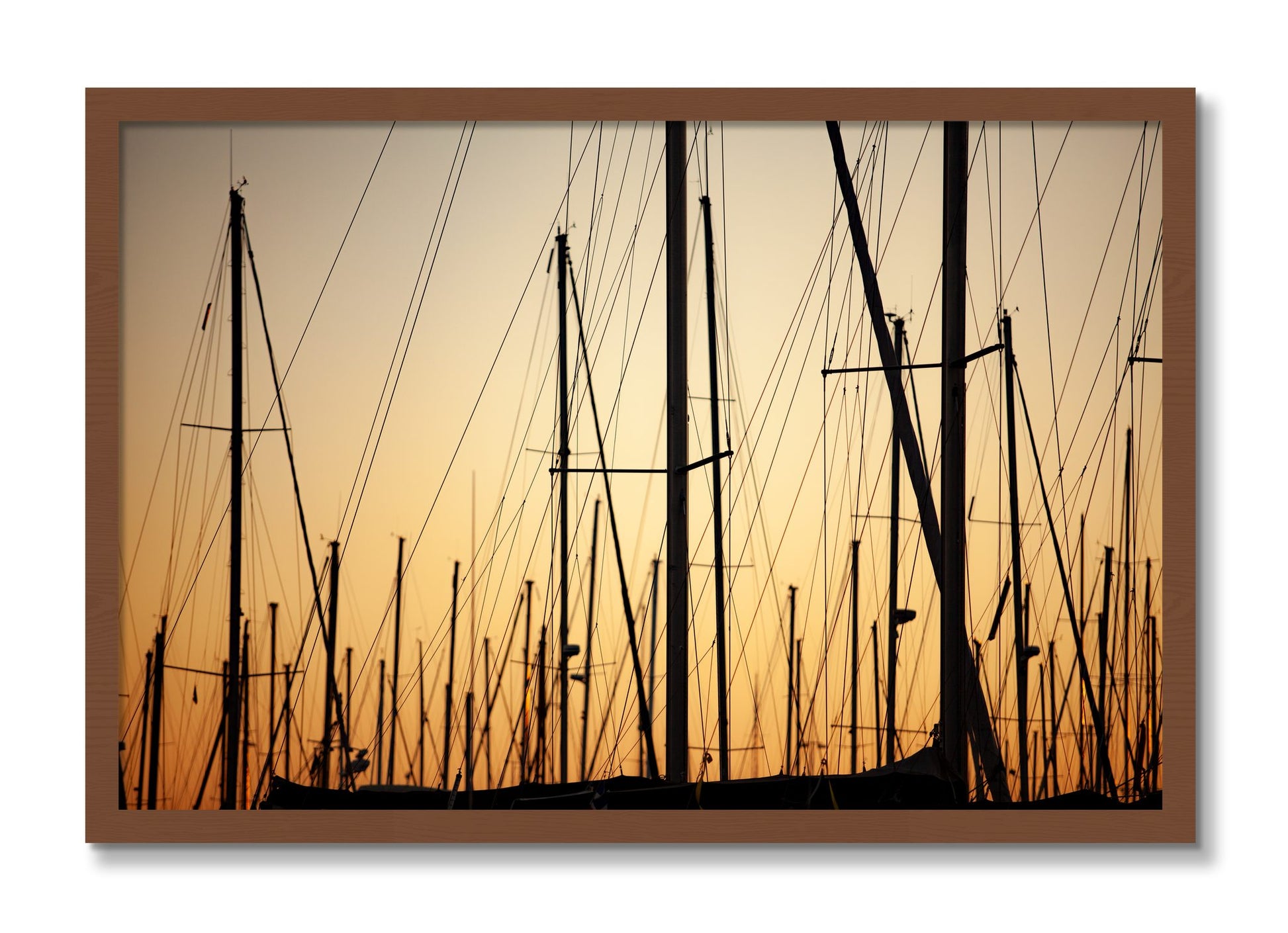 Framed photograph of Sail by Dylan Ozanich, Walnut frame, Full Bleed