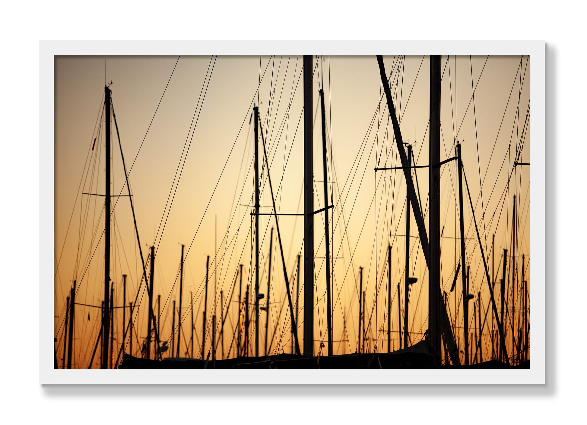 Framed photograph of Sail by Dylan Ozanich, White frame, Full Bleed