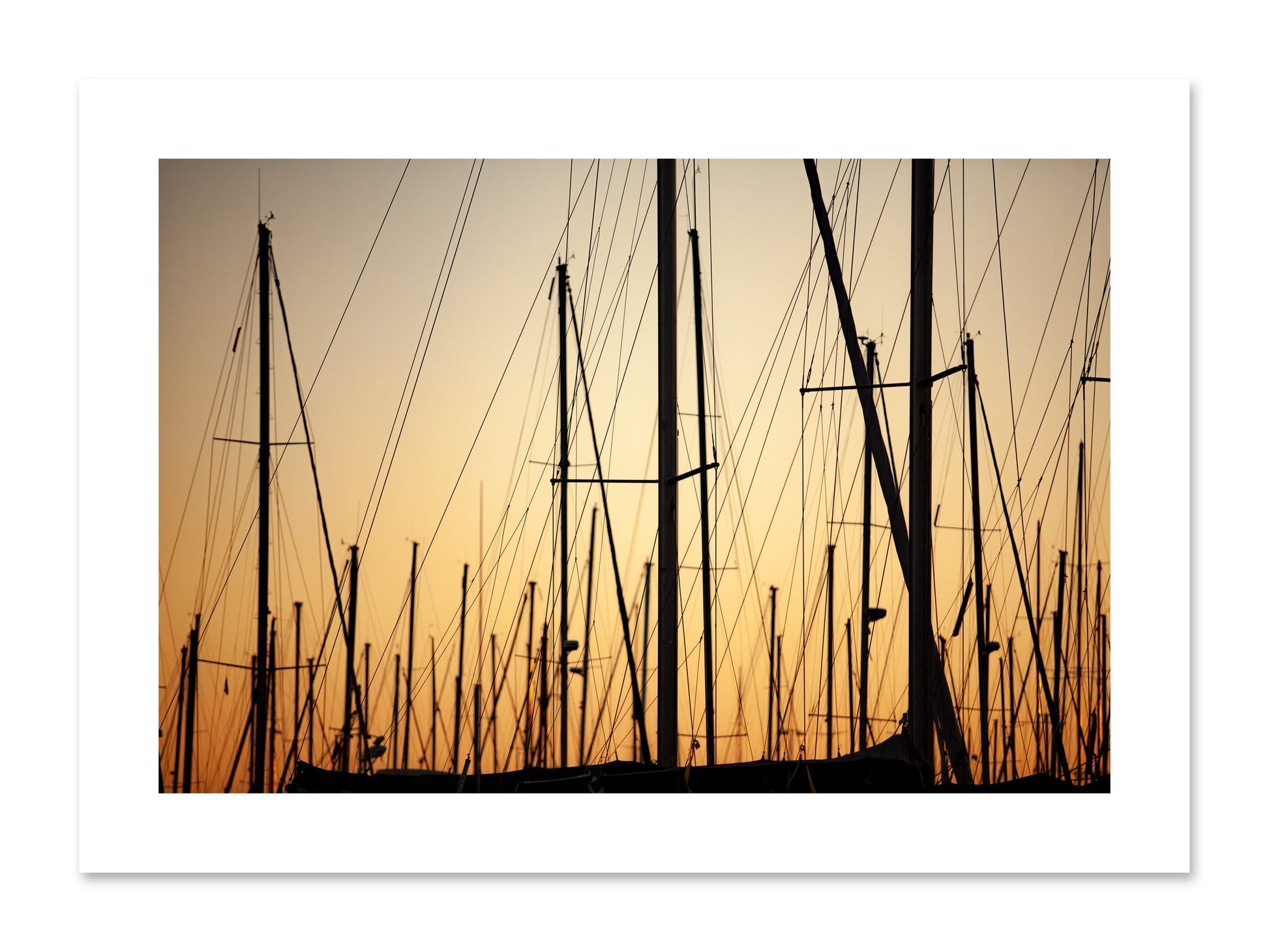 Fine art print of Sail by Dylan Ozanich, unframed