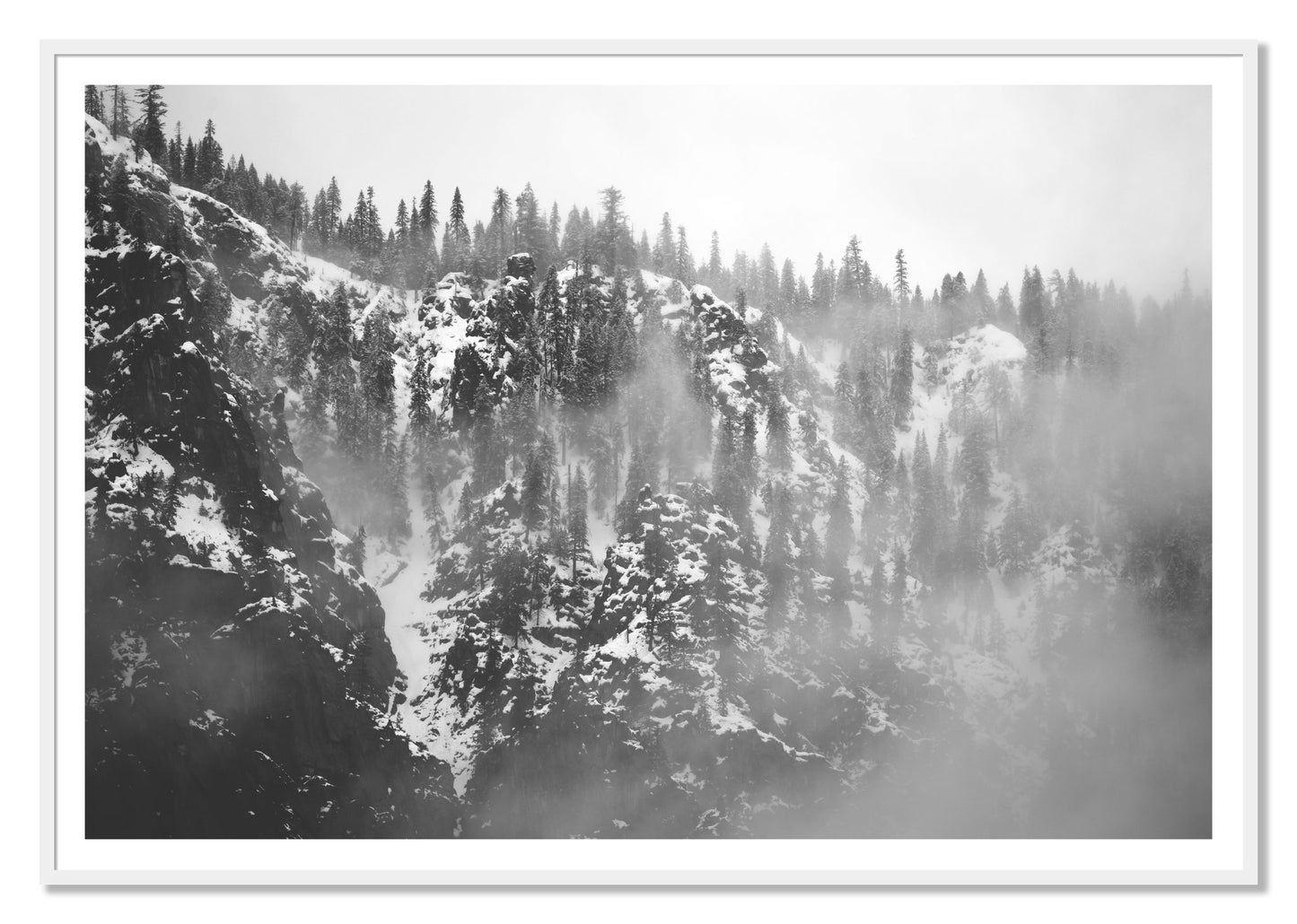 SIerra Snow by Dylan Ozanich, 48×72 print with a White Border in a White frame