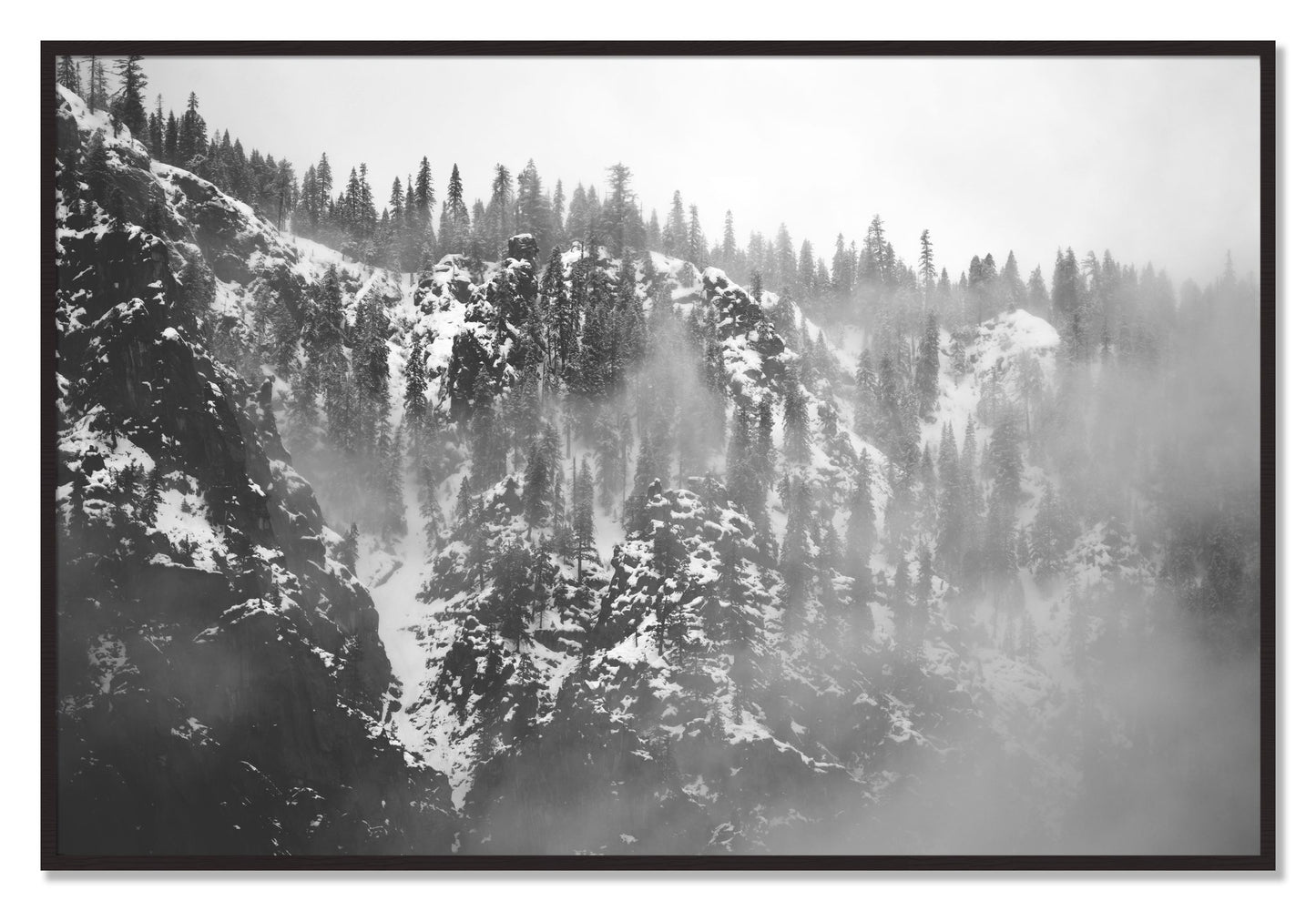 Framed photograph of SIerra Snow by Dylan Ozanich, Black Walnut frame, Full Bleed