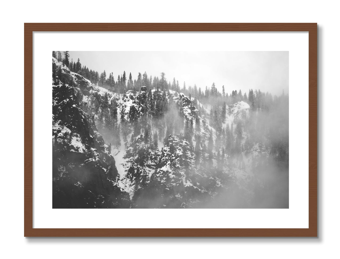 Framed photograph of SIerra Snow by Dylan Ozanich, Walnut frame, Borders