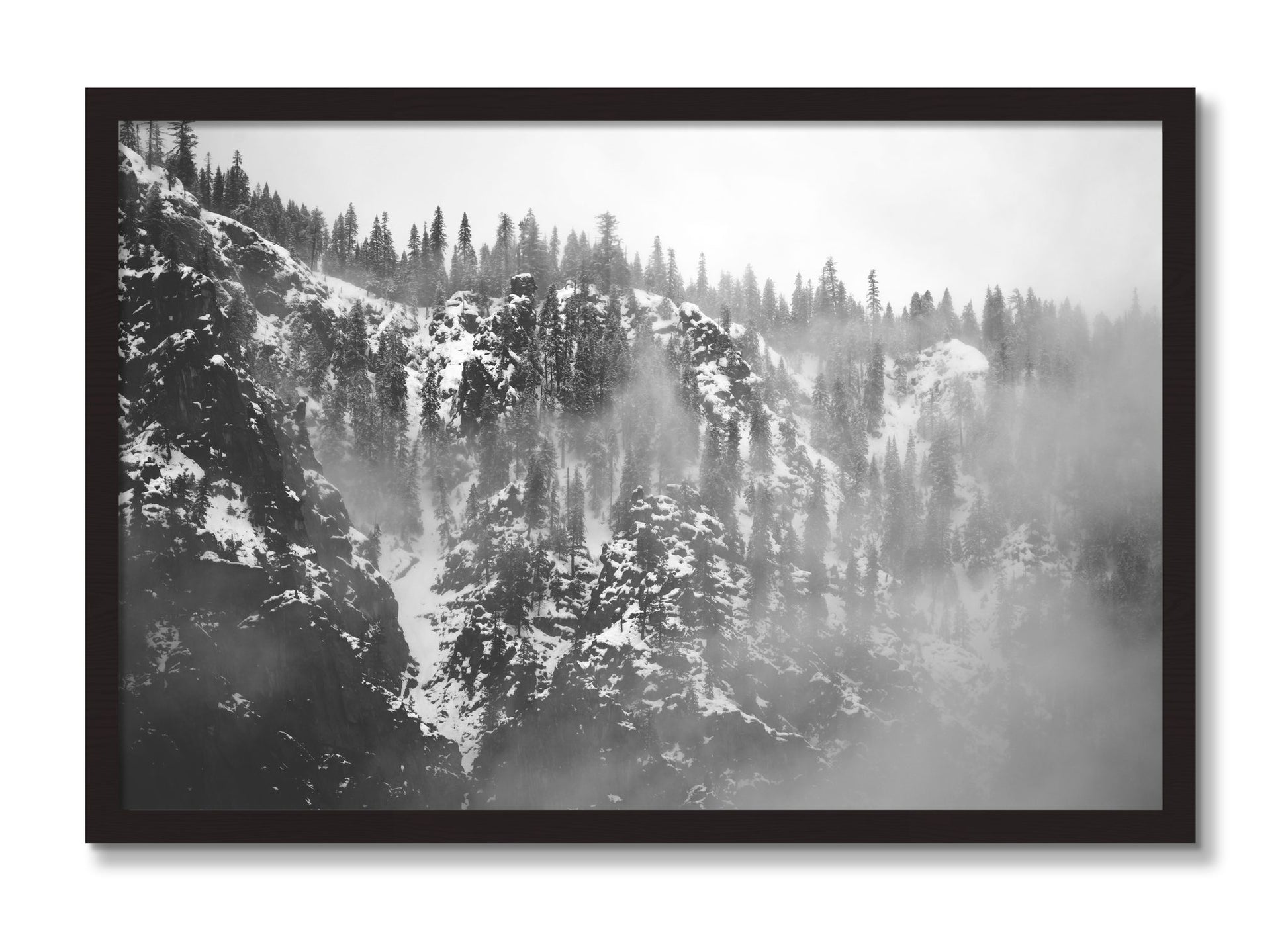 Framed photograph of SIerra Snow by Dylan Ozanich, Black Walnut frame, Full Bleed