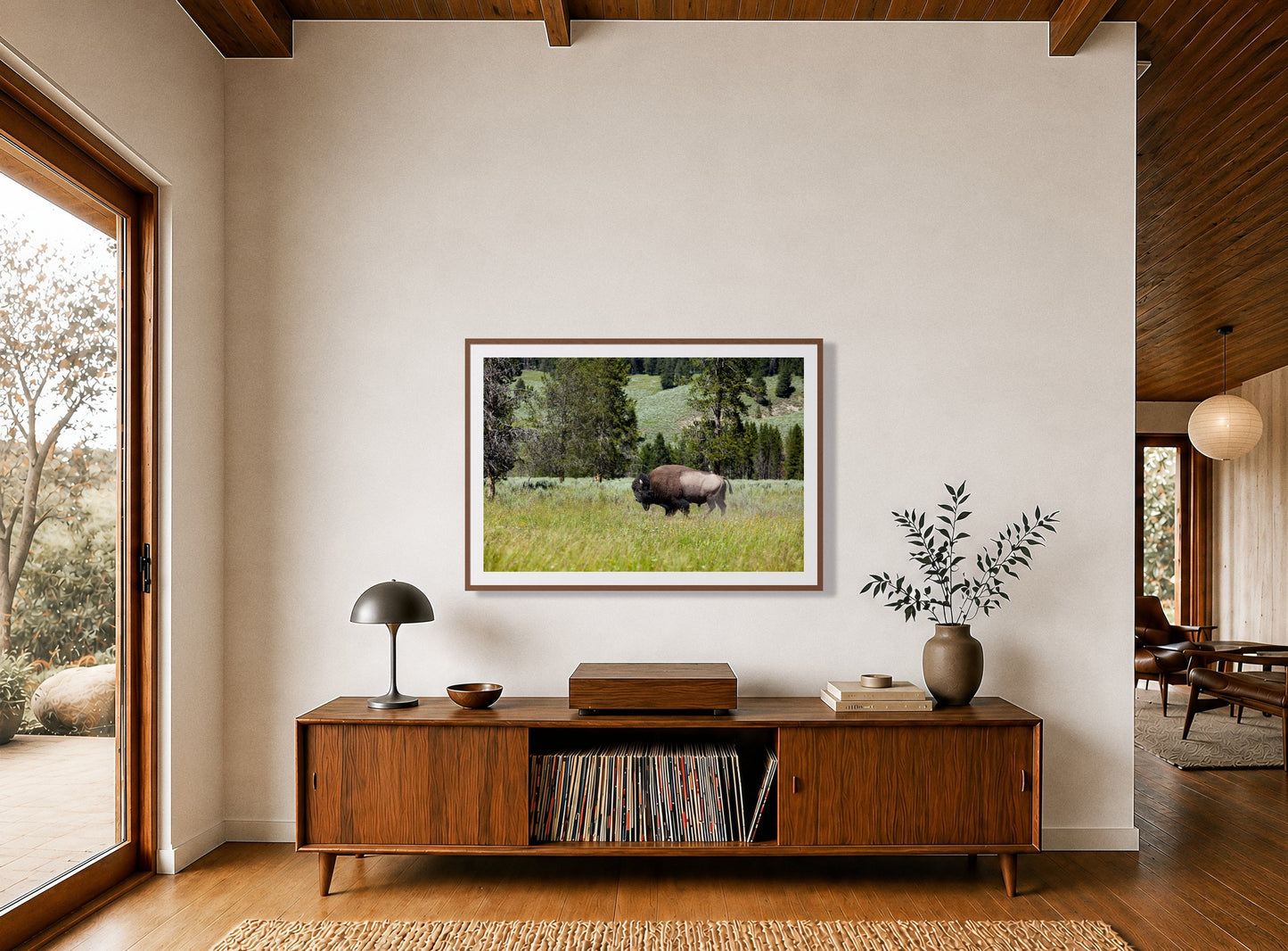 Framed photograph of Solo Buffalo by Dylan Ozanich displayed on a wall