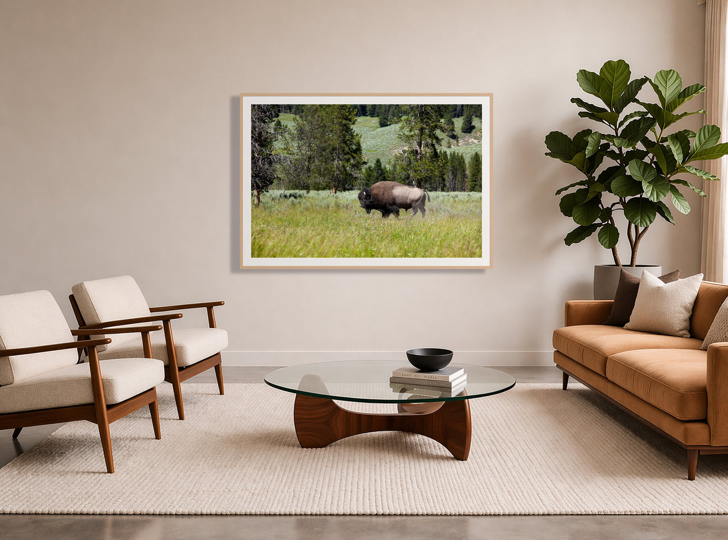 Framed photograph of Solo Buffalo by Dylan Ozanich displayed on a wall