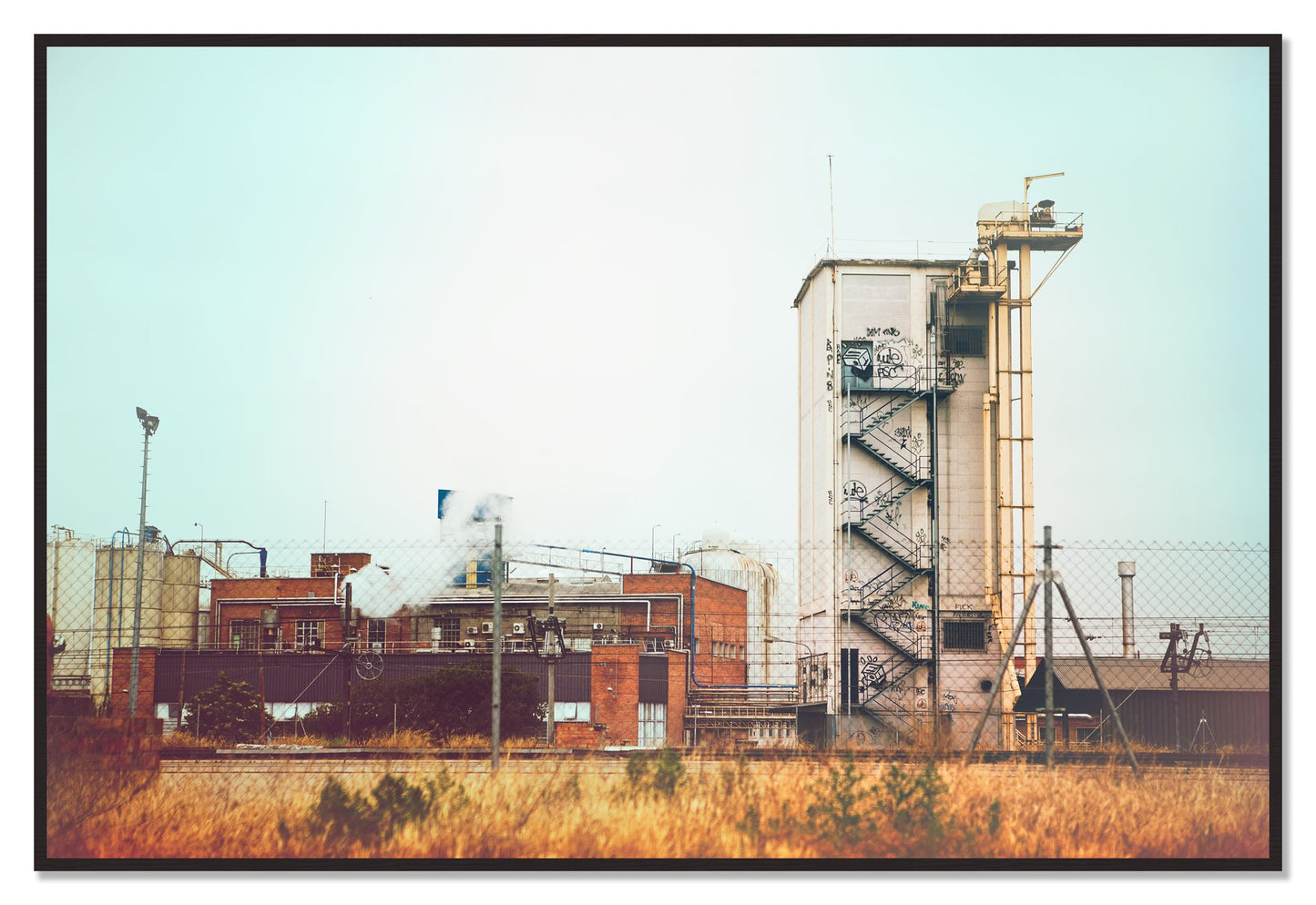 Train Ride by Dylan Ozanich, 48×72 Full Bleed Print in a Black Walnut frame