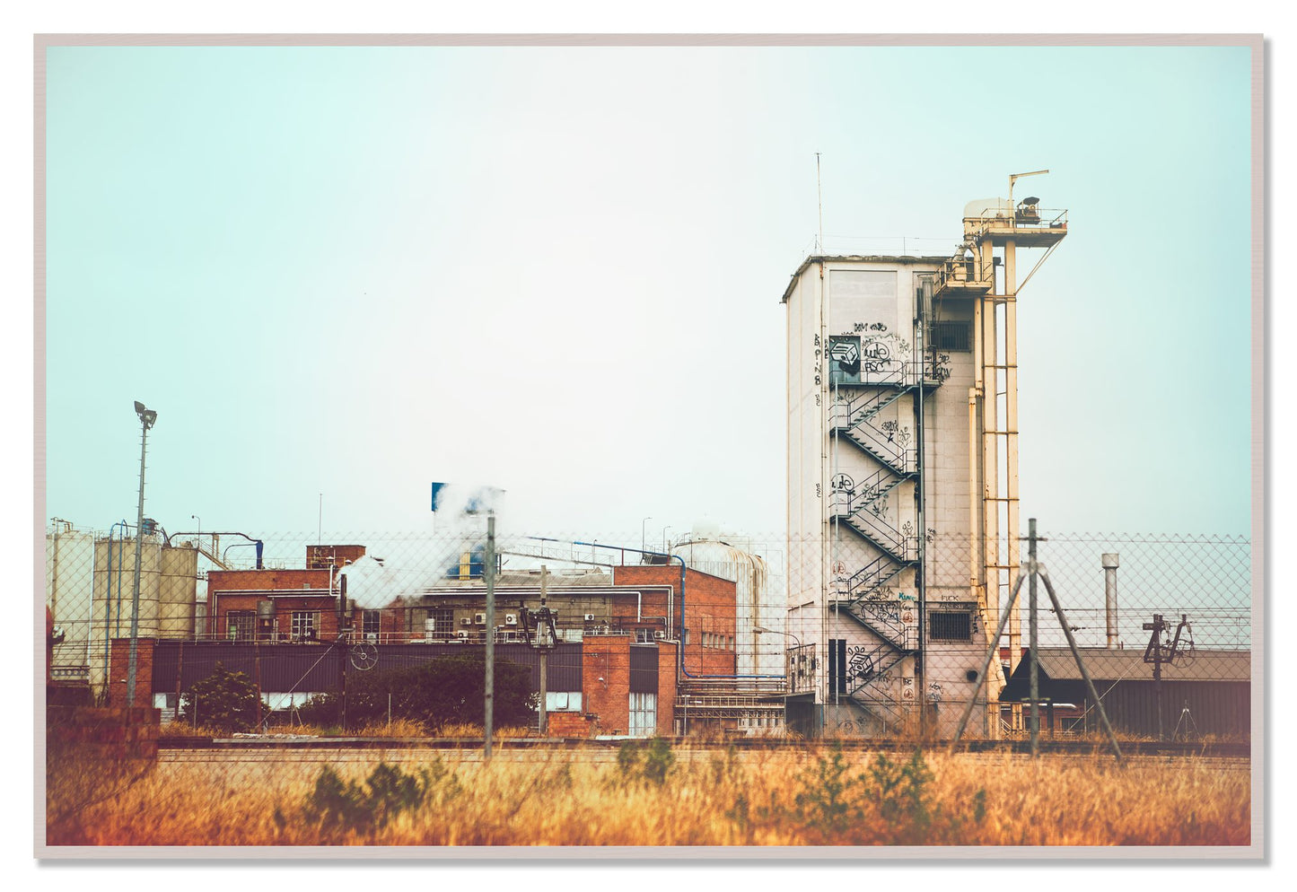 Train Ride by Dylan Ozanich, 48×72 Full Bleed Print in a White Maple frame