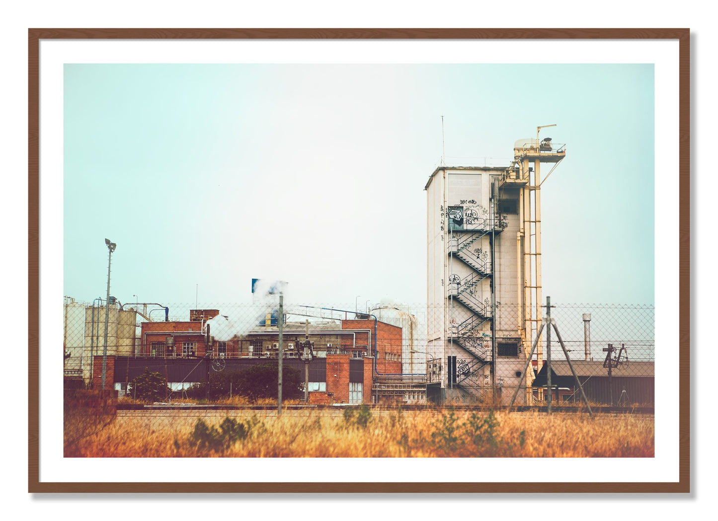 Framed photograph of Train Ride by Dylan Ozanich, Walnut frame, Borders