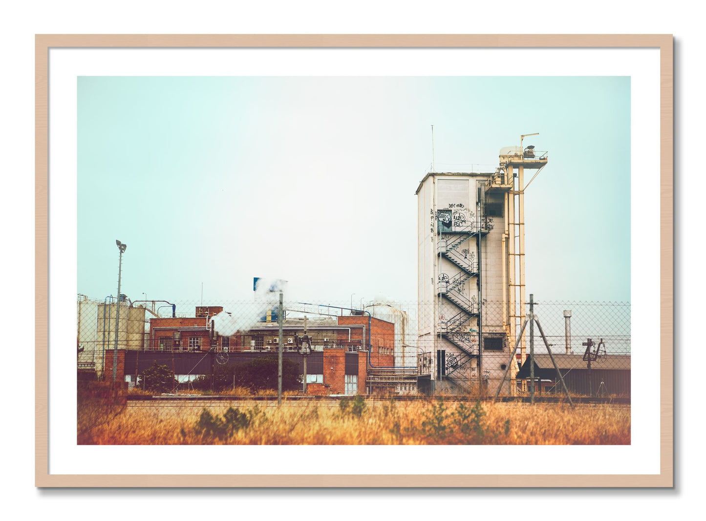 Framed photograph of Train Ride by Dylan Ozanich, Maple frame, Borders