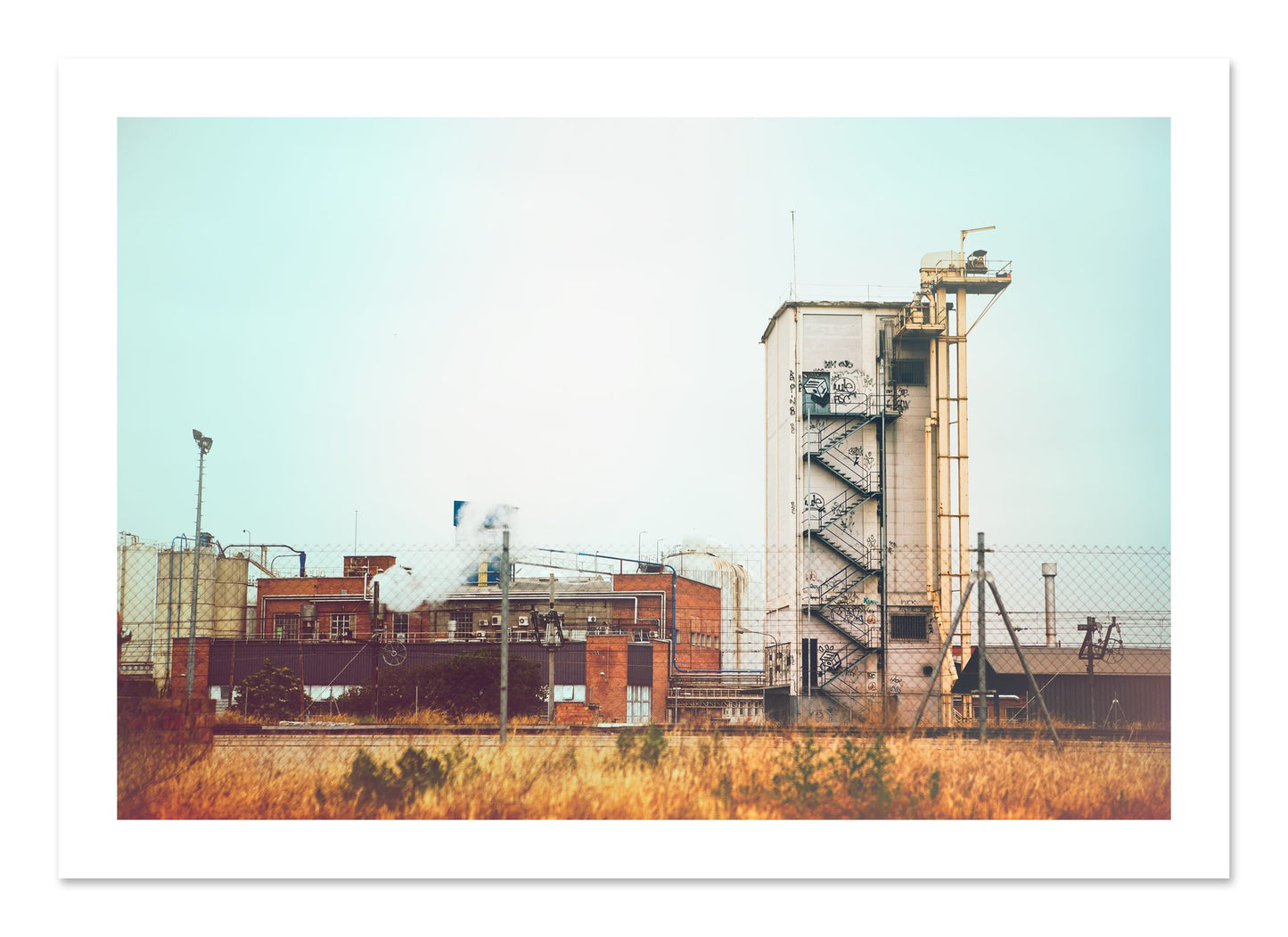 Fine art print of Train Ride by Dylan Ozanich, unframed