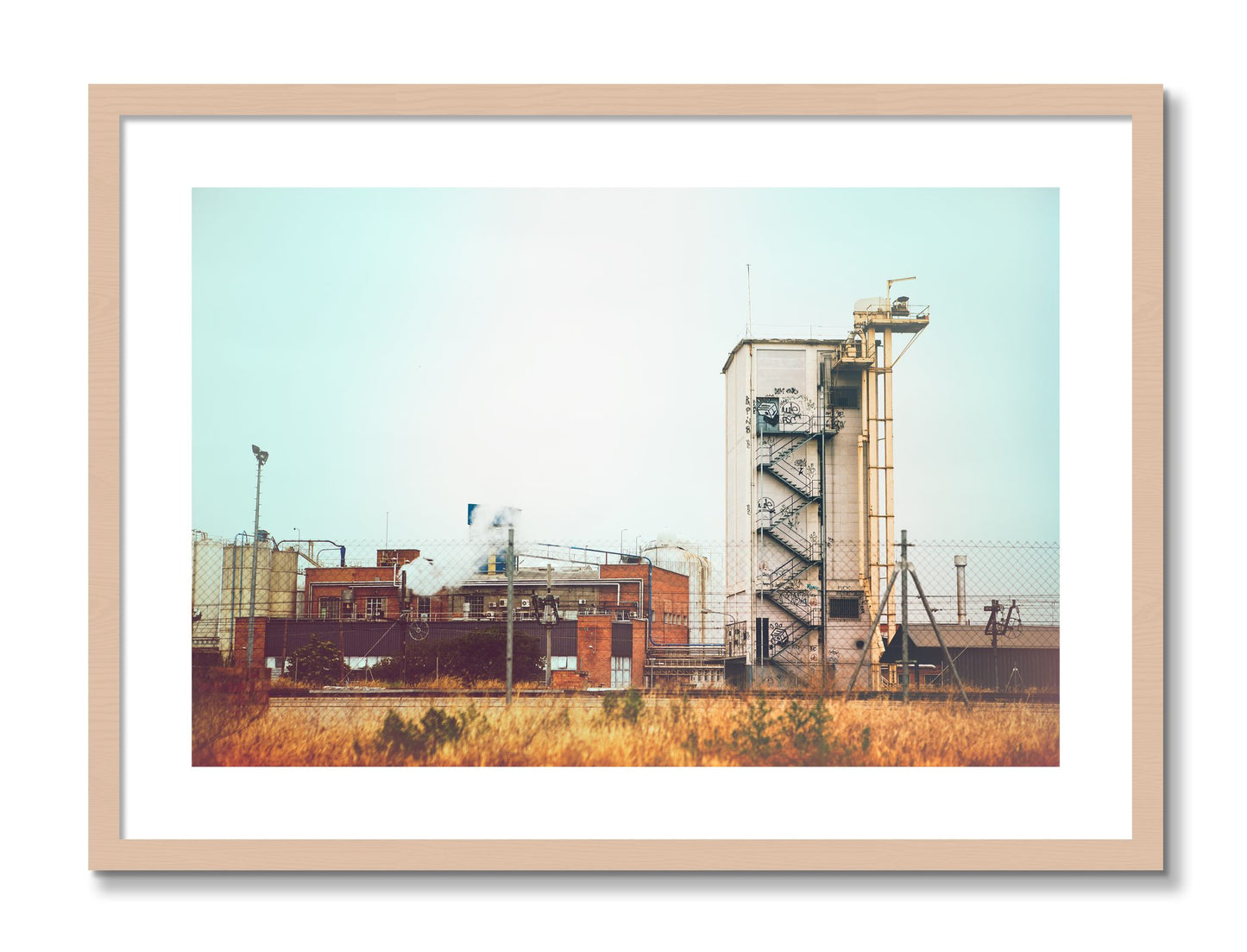 Framed photograph of Train Ride by Dylan Ozanich, Maple frame, Borders