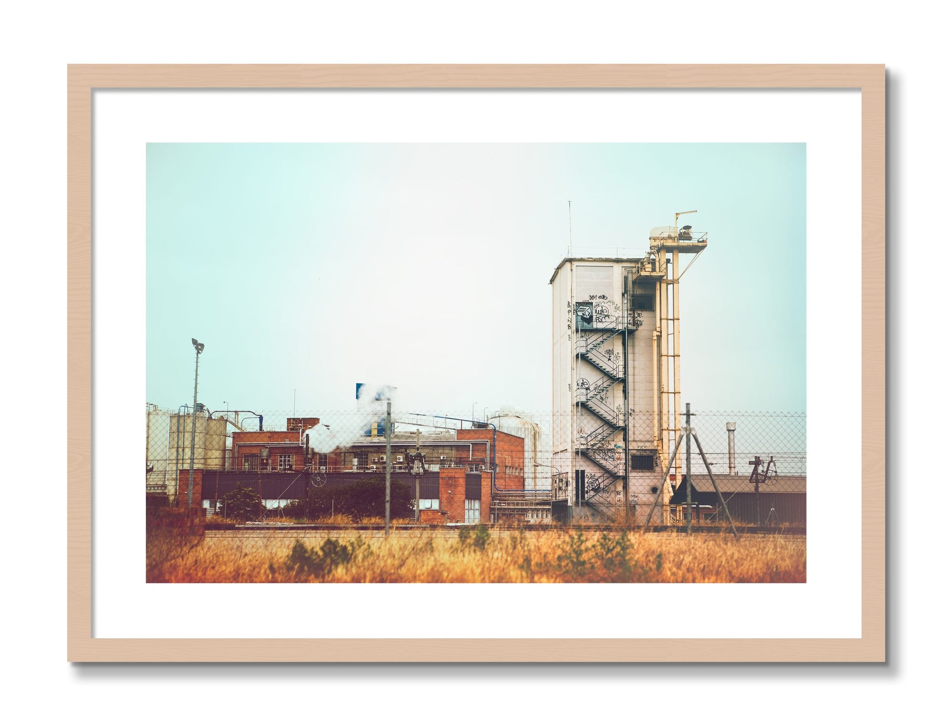 Framed photograph of Train Ride by Dylan Ozanich, Maple frame, Borders