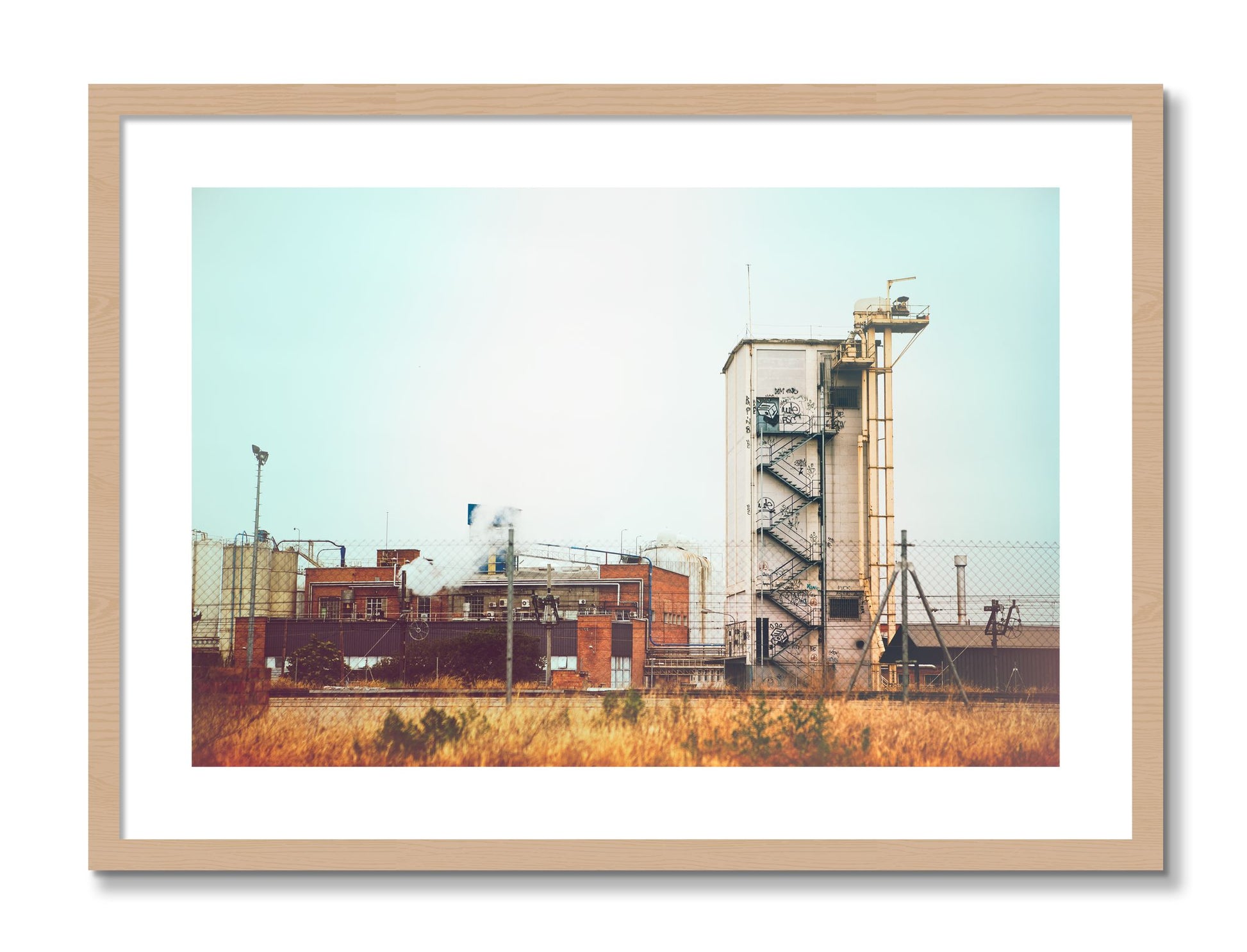Framed photograph of Train Ride by Dylan Ozanich, Oak frame, Borders