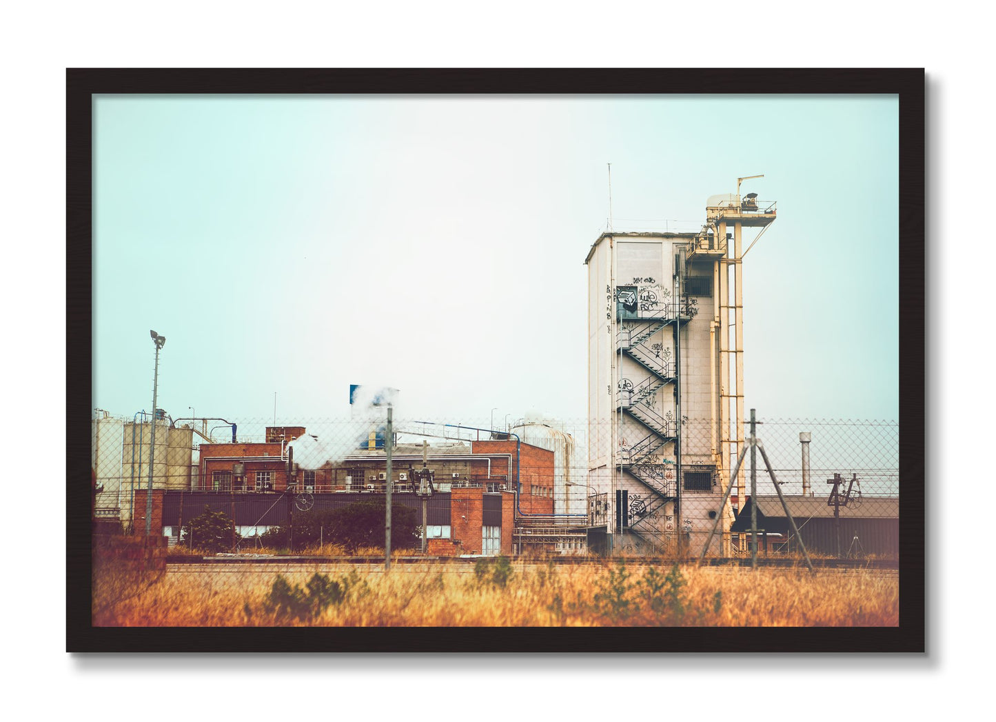 Framed photograph of Train Ride by Dylan Ozanich, Black Walnut frame, Full Bleed
