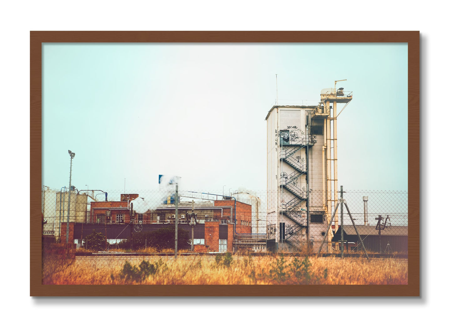 Framed photograph of Train Ride by Dylan Ozanich, Walnut frame, Full Bleed