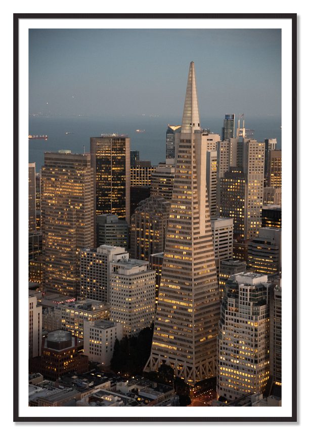 Transamerica San Francisco by Dylan Ozanich, 48×72 print with a White Border in a Black Walnut frame