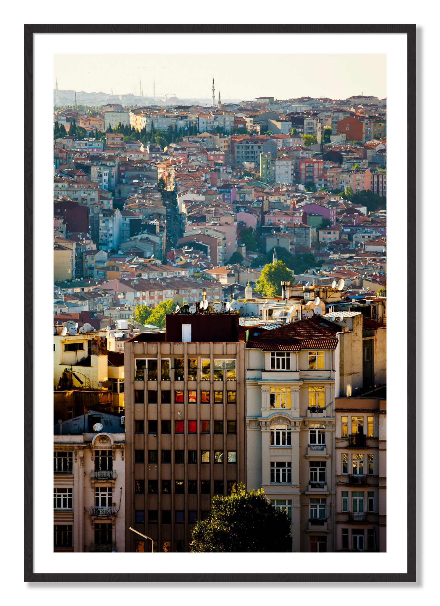 Framed photograph of Urban Color by Dylan Ozanich, Black Walnut frame, Borders
