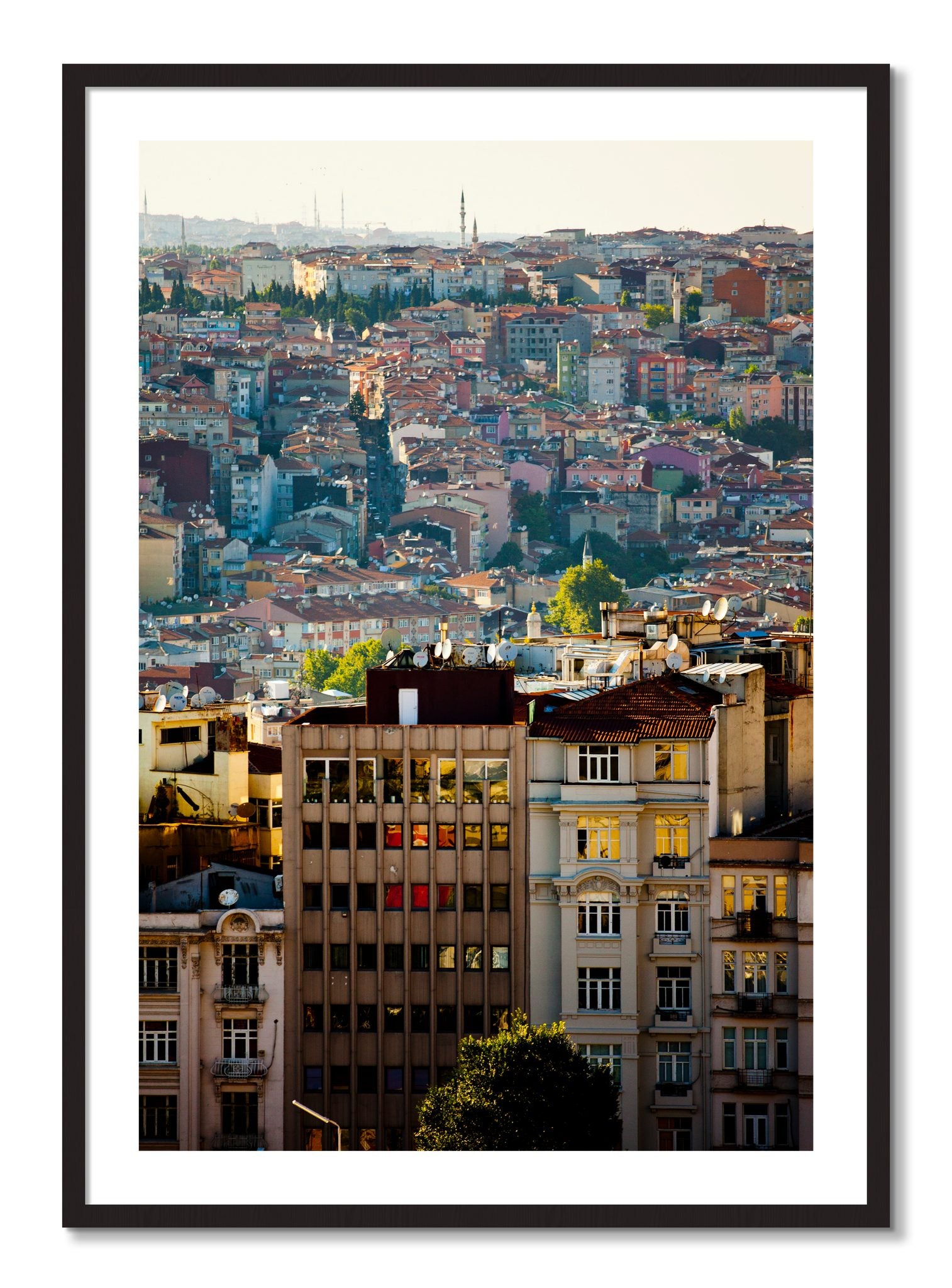 Framed photograph of Urban Color by Dylan Ozanich, Black Walnut frame, Borders
