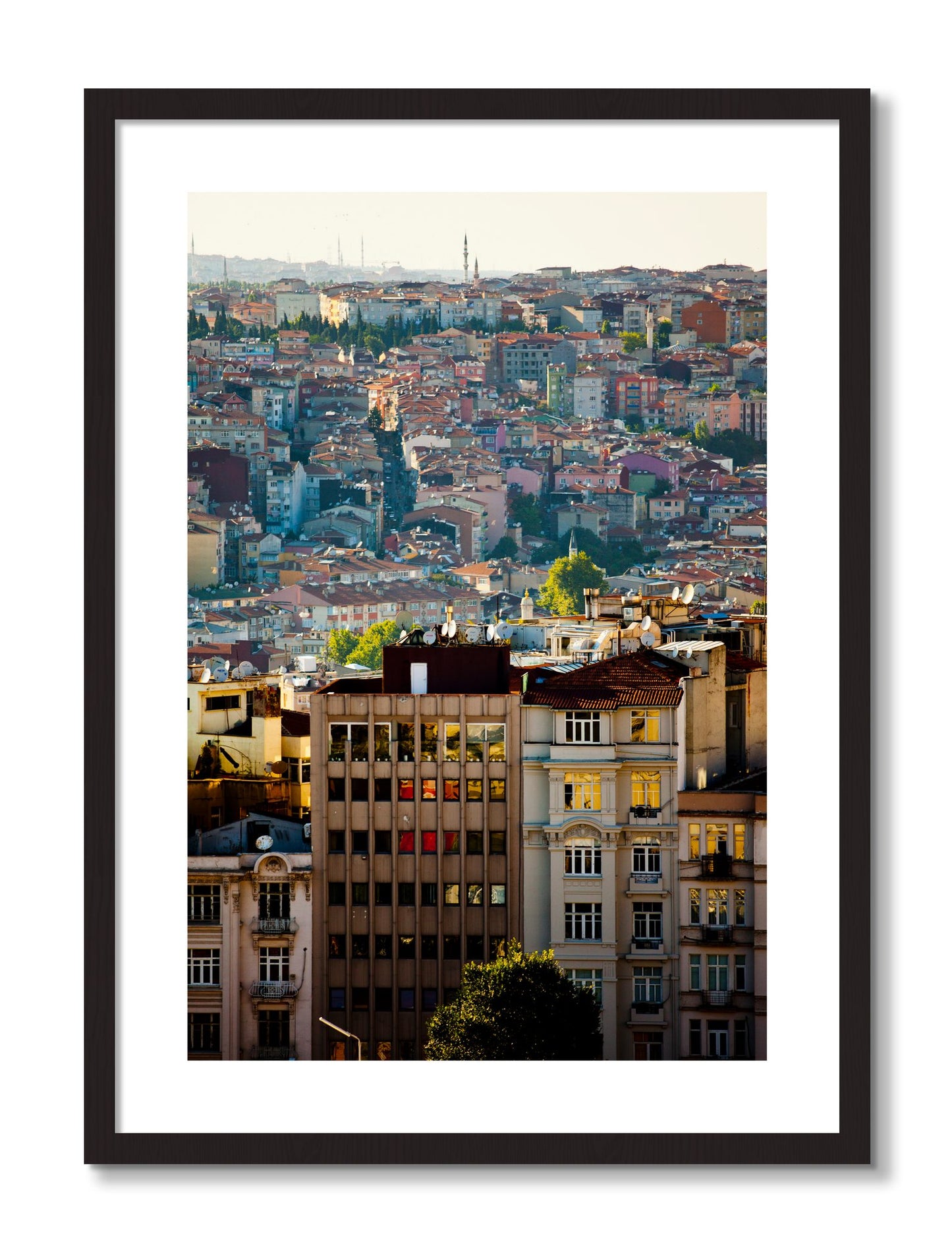 Framed photograph of Urban Color by Dylan Ozanich, Black Walnut frame, Borders