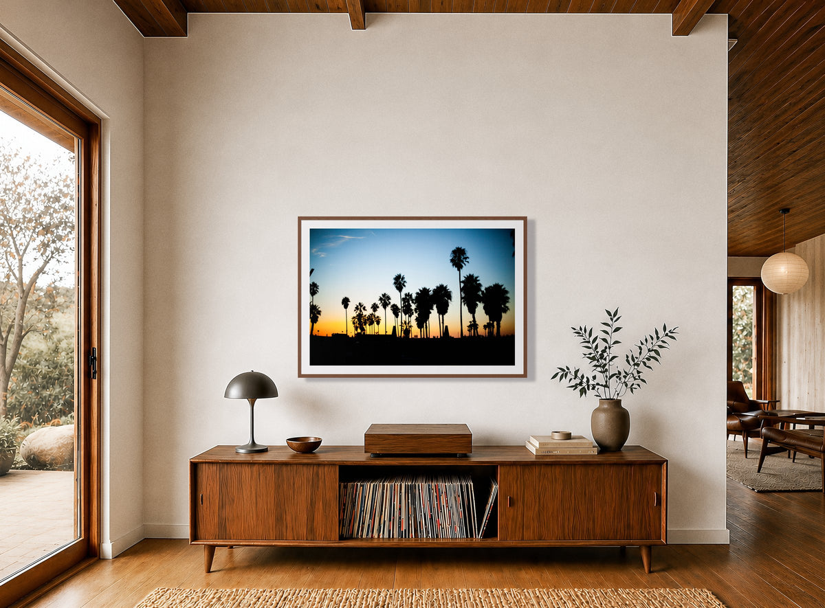 Venice Beach in a room