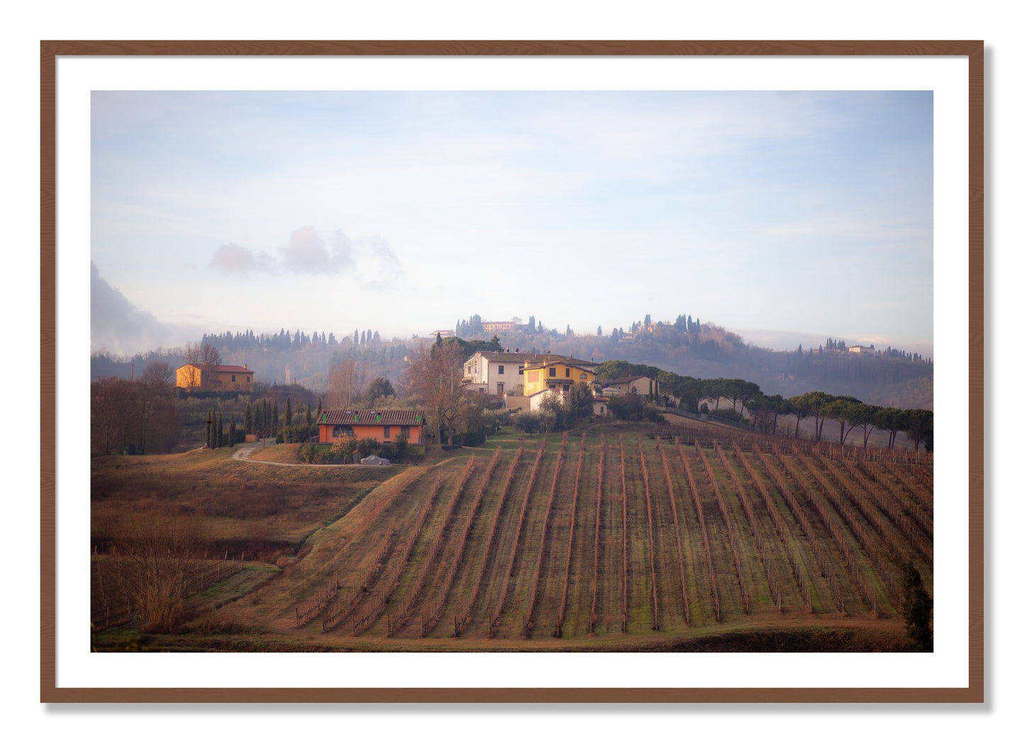 Framed photograph of Villa by Dylan Ozanich, Walnut frame, Borders