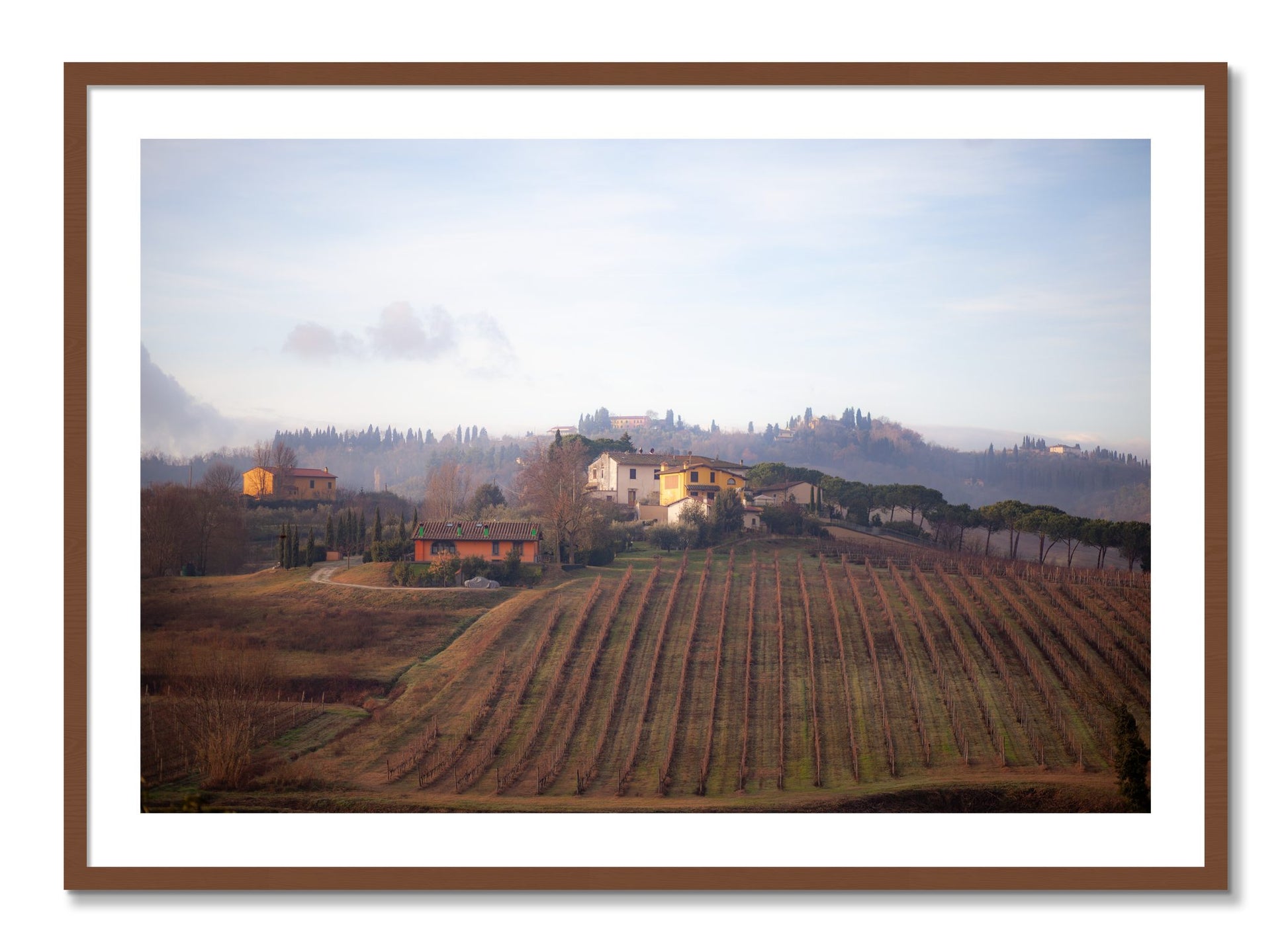 Framed photograph of Villa by Dylan Ozanich, Walnut frame, Borders