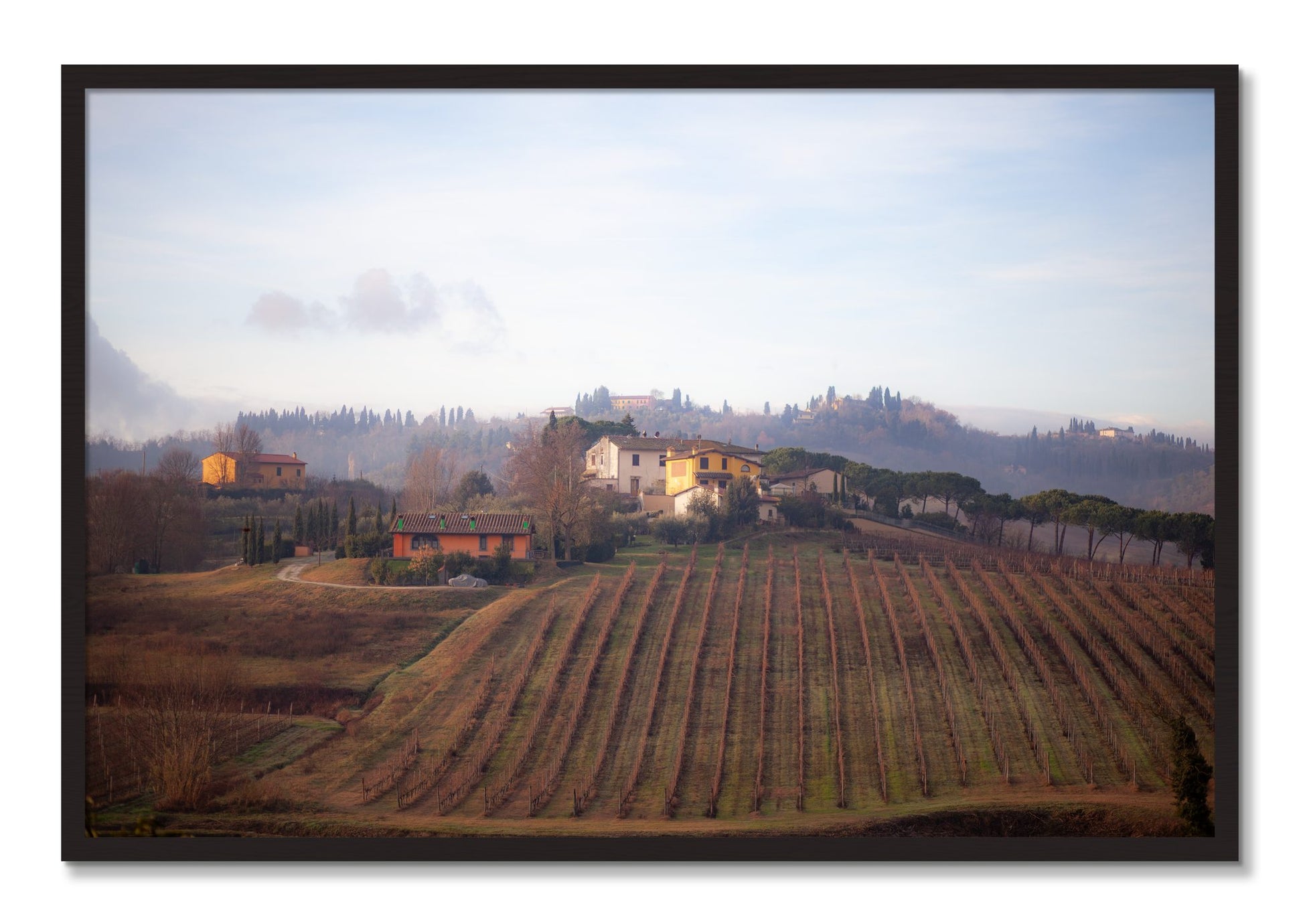 Framed photograph of Villa by Dylan Ozanich, Black Walnut frame, Full Bleed