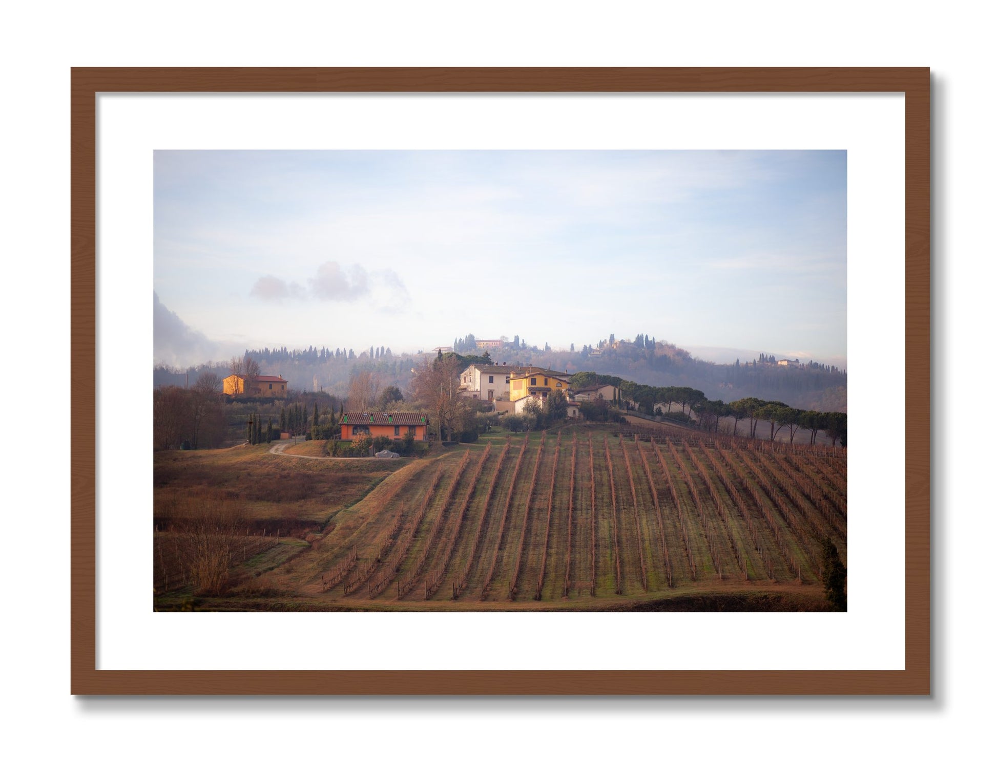 Framed photograph of Villa by Dylan Ozanich, Walnut frame, Borders