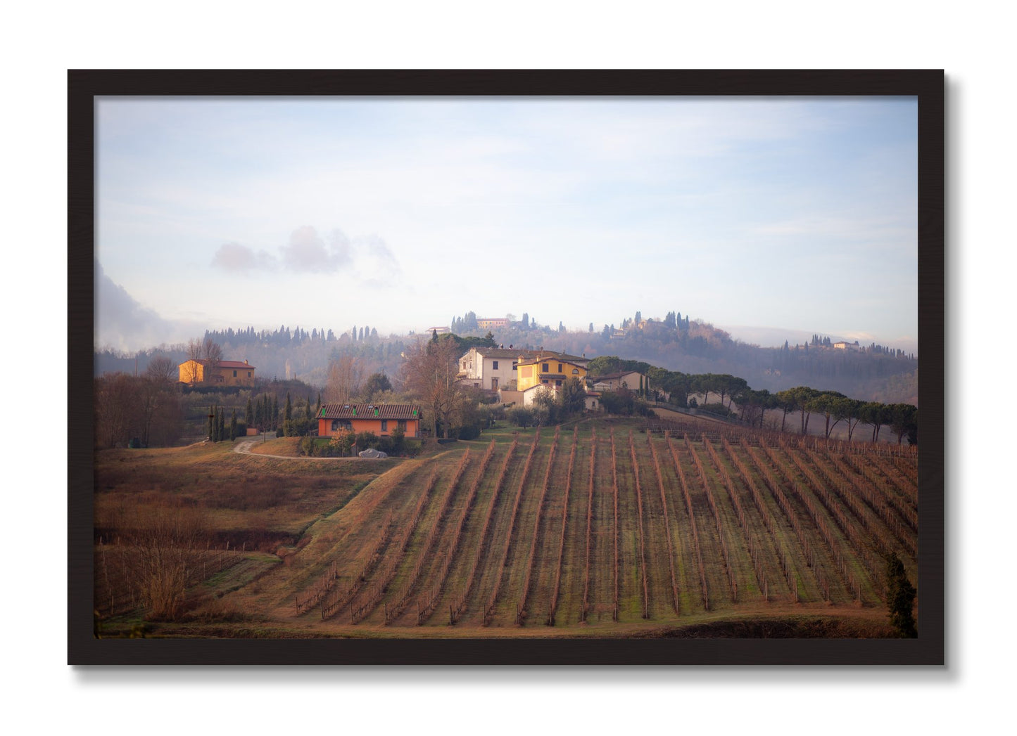 Framed photograph of Villa by Dylan Ozanich, Black Walnut frame, Full Bleed