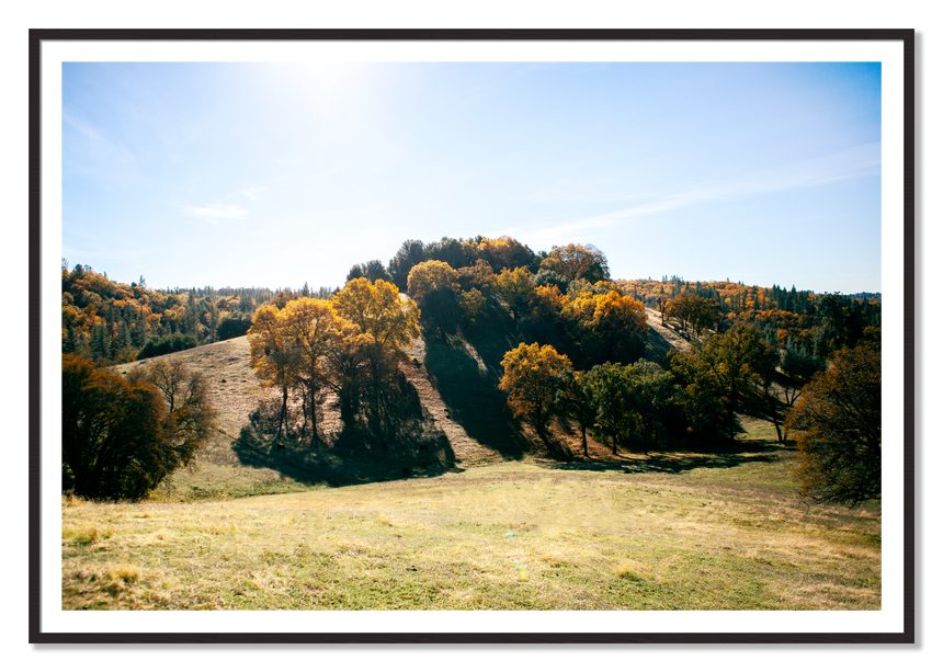 Where IGrew Up by Dylan Ozanich, 48×72 print with a White Border in a Black Walnut frame