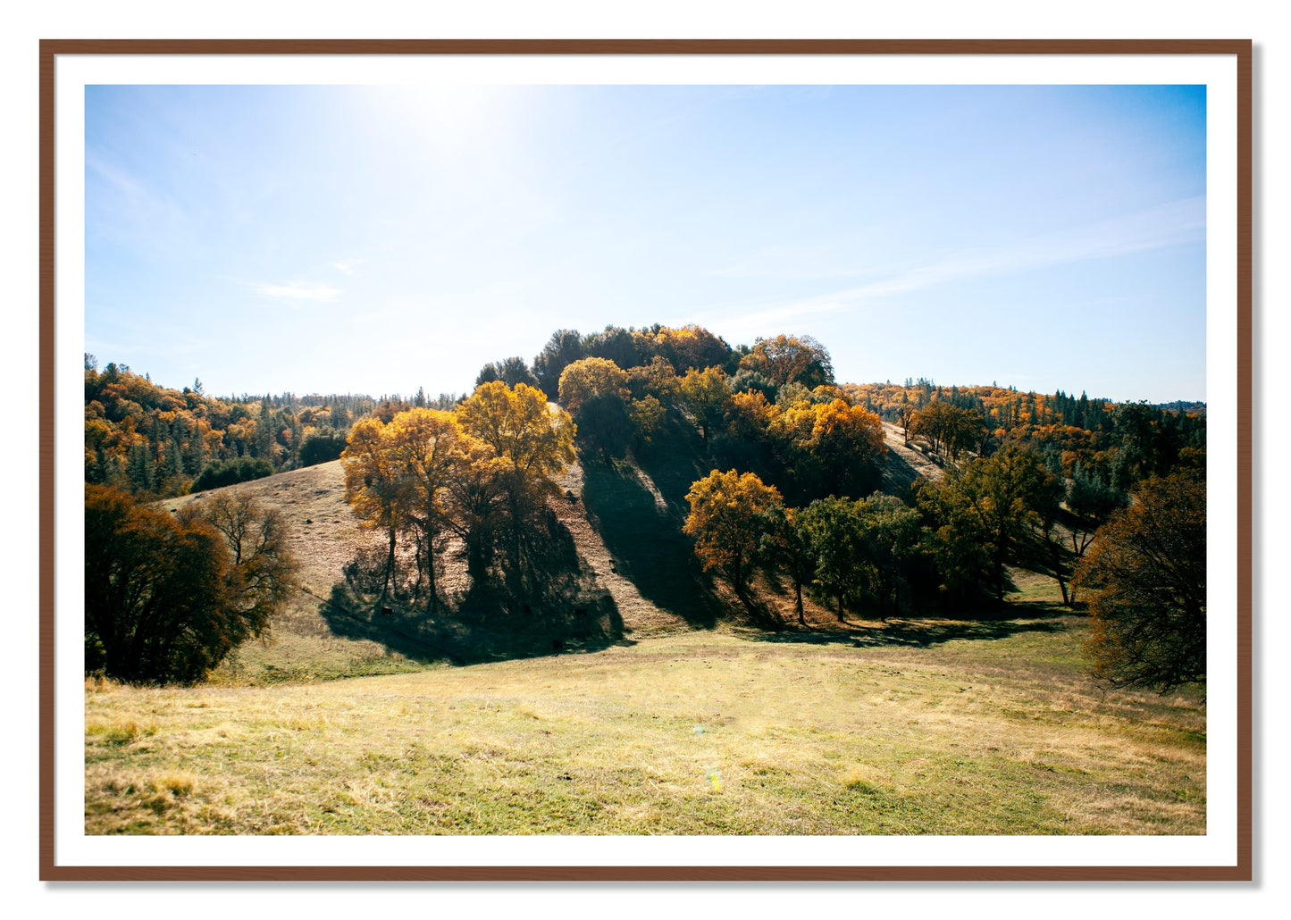 Where IGrew Up by Dylan Ozanich, 48×72 print with a White Border in a Walnut frame