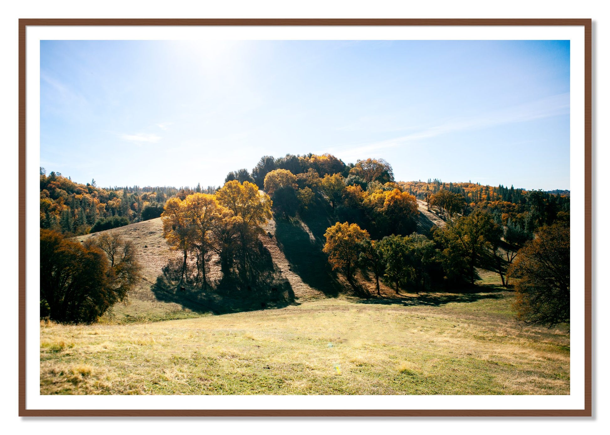 Where IGrew Up by Dylan Ozanich, 48×72 print with a White Border in a Walnut frame
