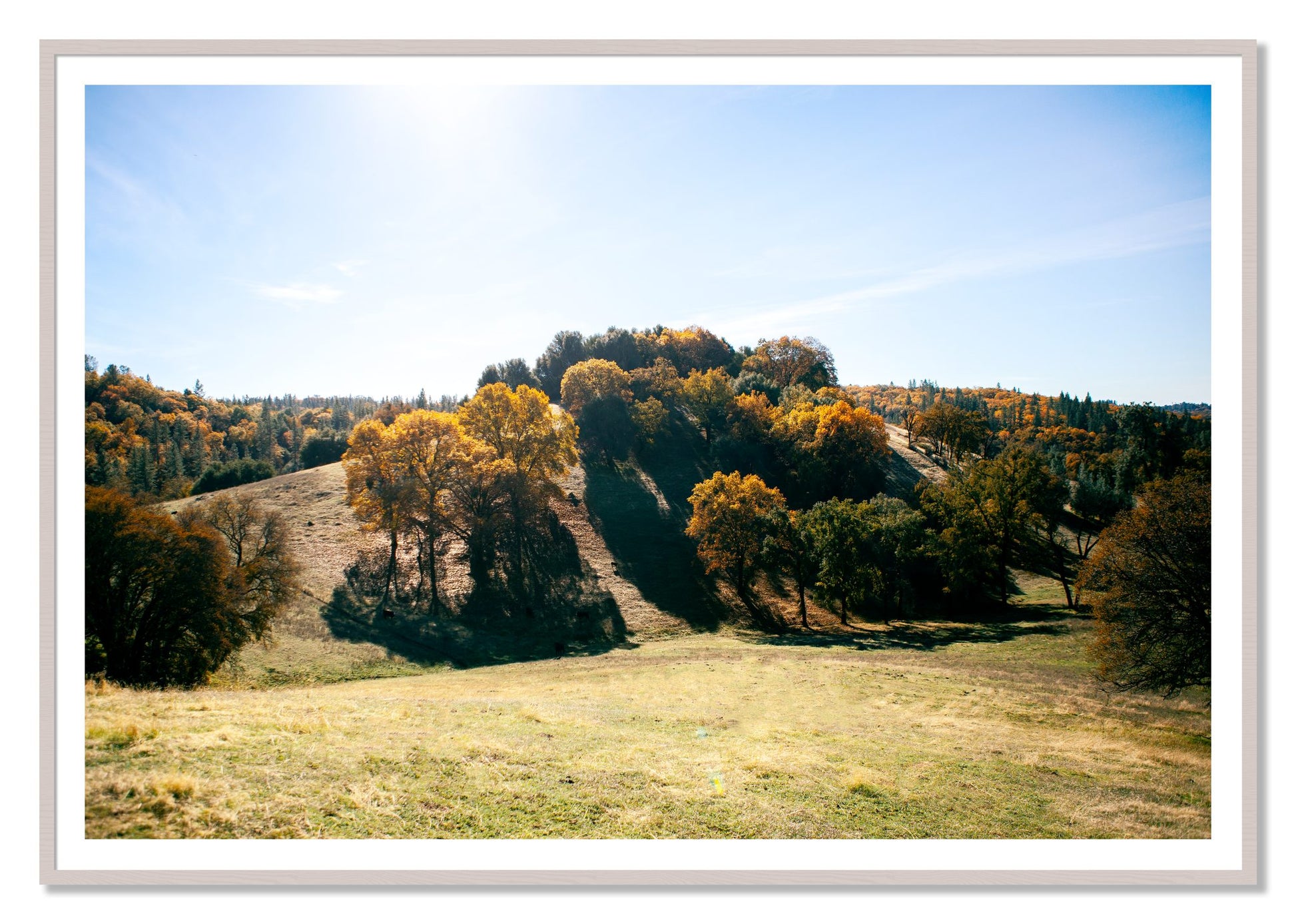 Where IGrew Up by Dylan Ozanich, 48×72 print with a White Border in a White Maple frame