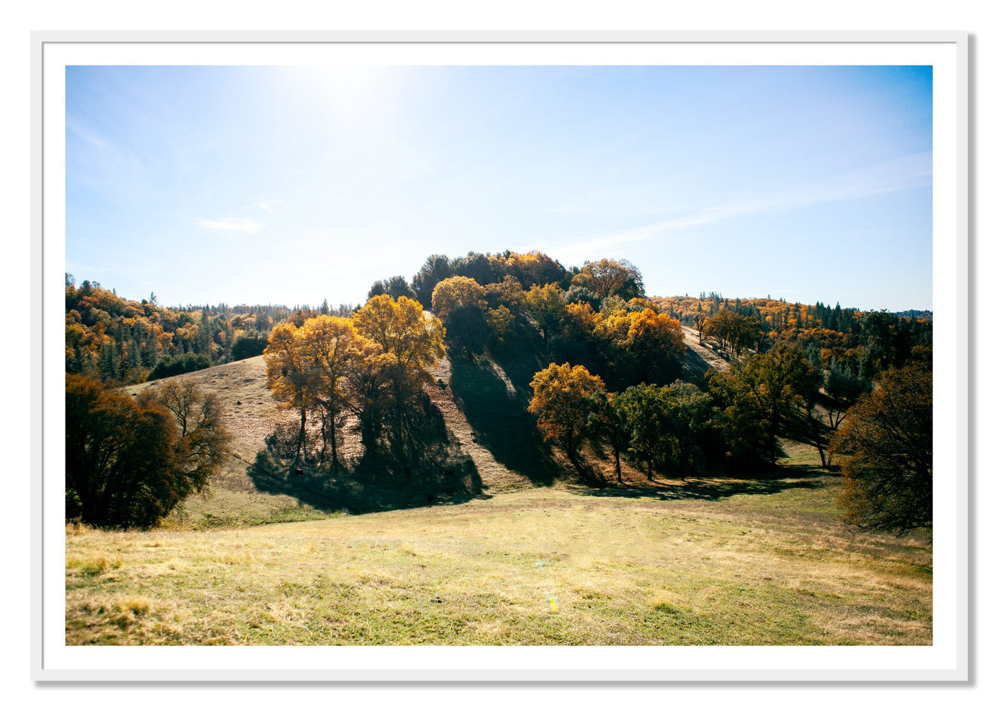 Where IGrew Up by Dylan Ozanich, 48×72 print with a White Border in a White frame