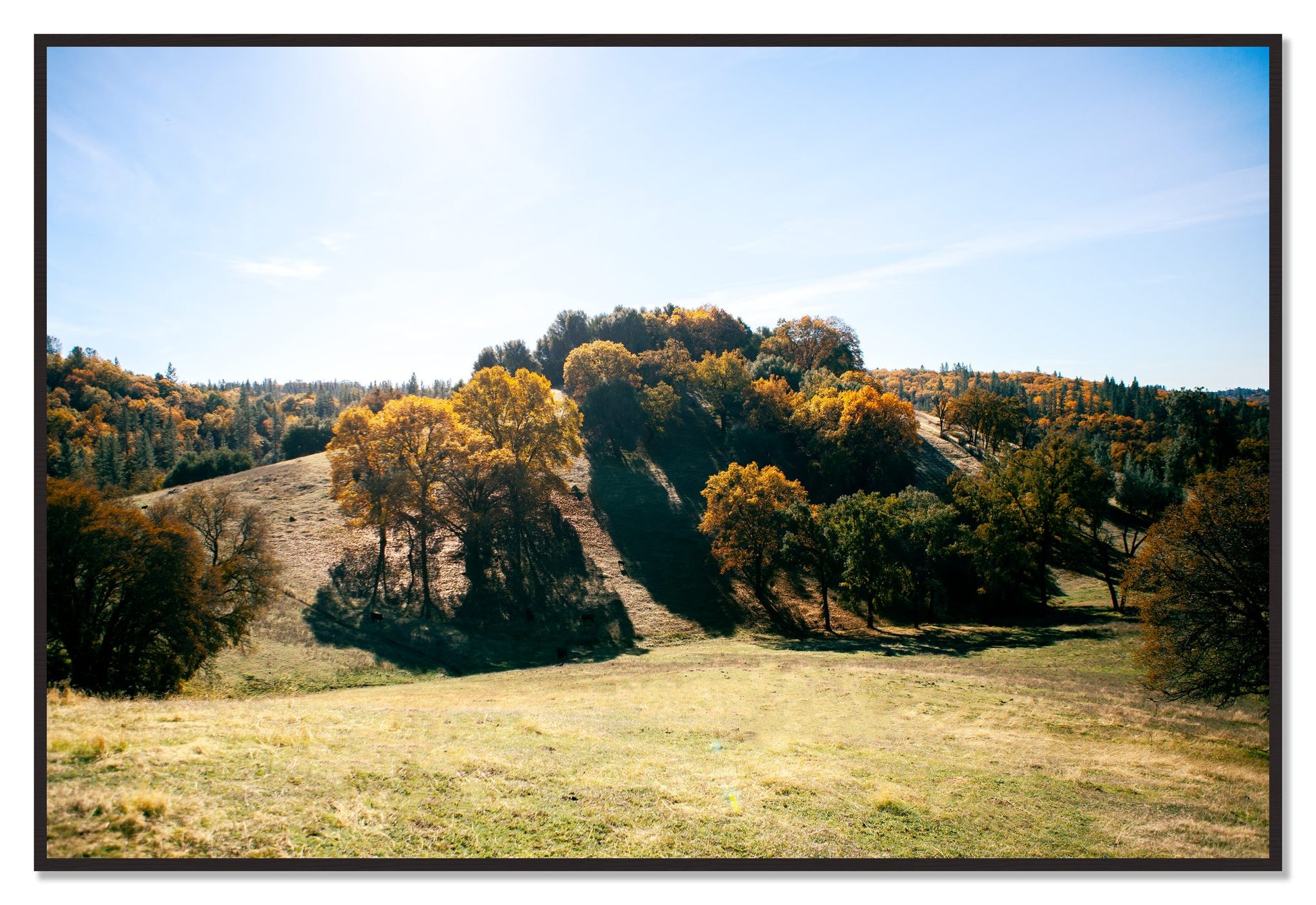 Where IGrew Up by Dylan Ozanich, 48×72 Full Bleed Print in a Black Walnut frame