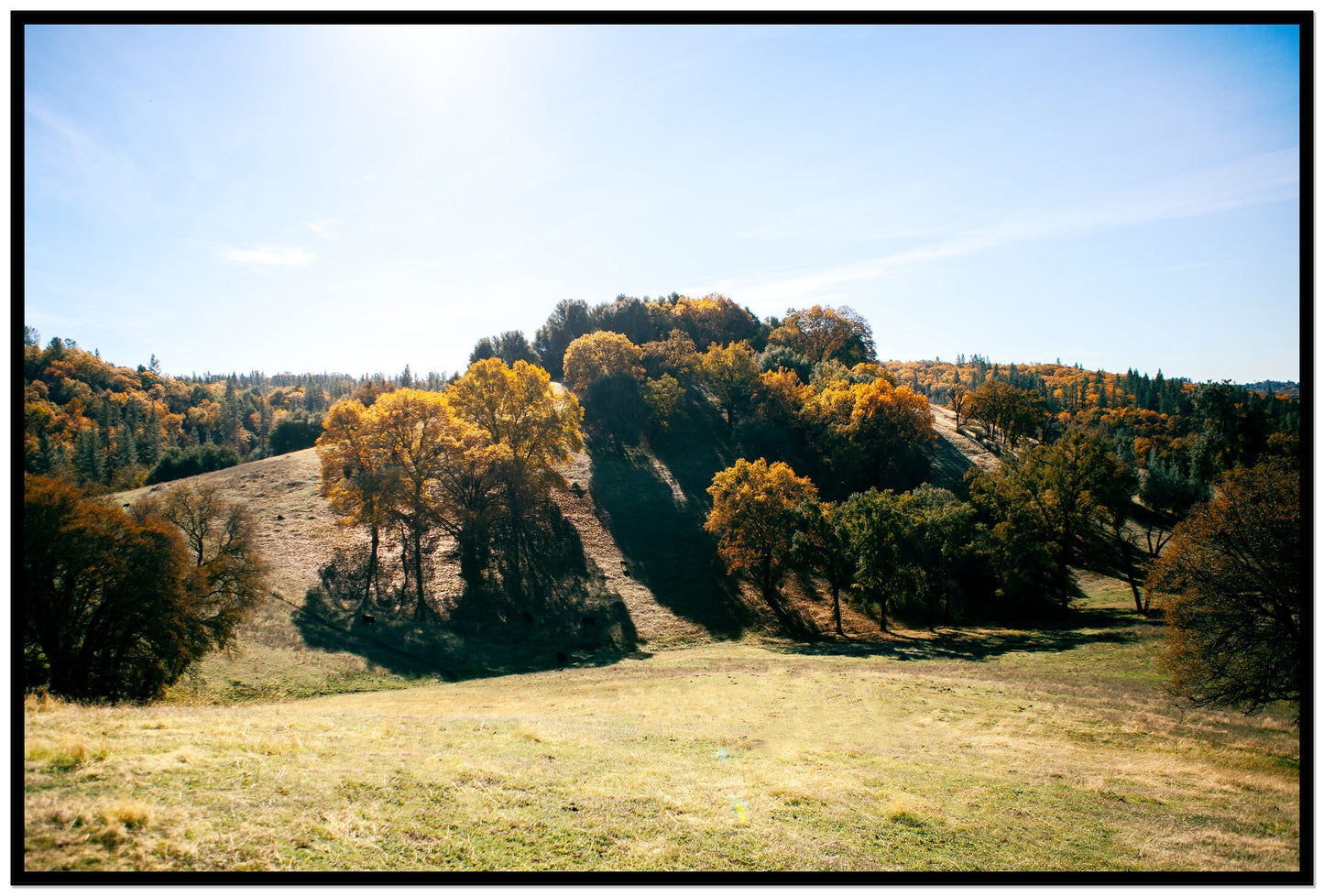 Where IGrew Up by Dylan Ozanich, 48×72 Full Bleed Print in a Black frame
