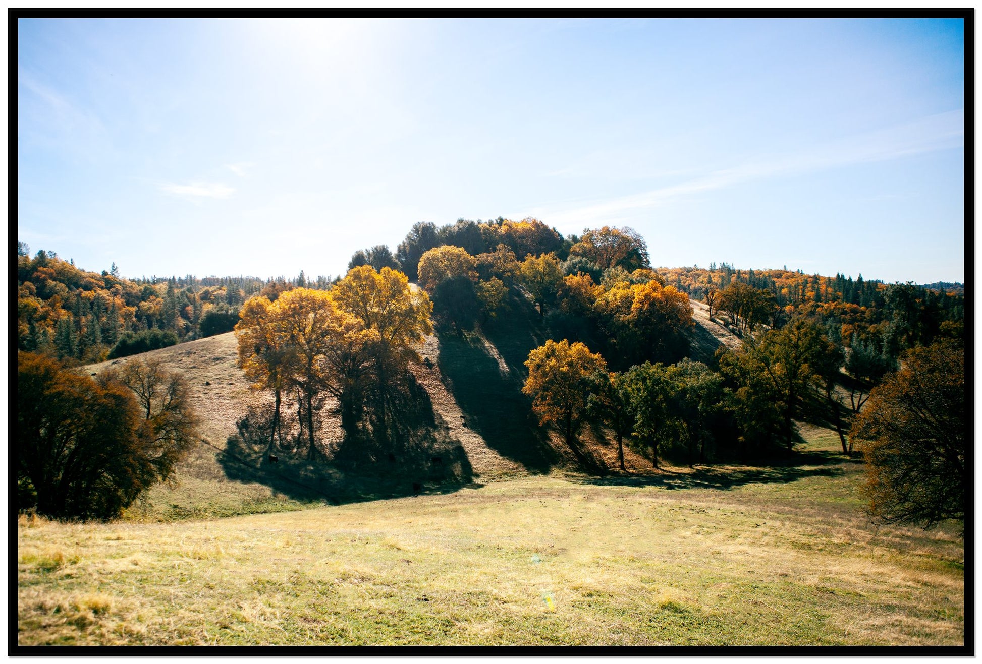 Where IGrew Up by Dylan Ozanich, 48×72 Full Bleed Print in a Black frame