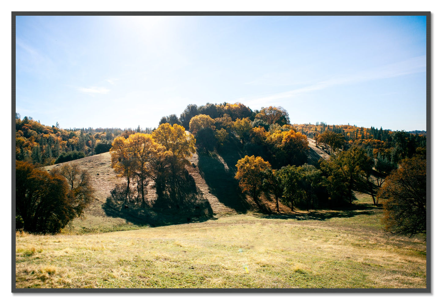 Where IGrew Up by Dylan Ozanich, 48×72 Full Bleed Print in a Grey frame