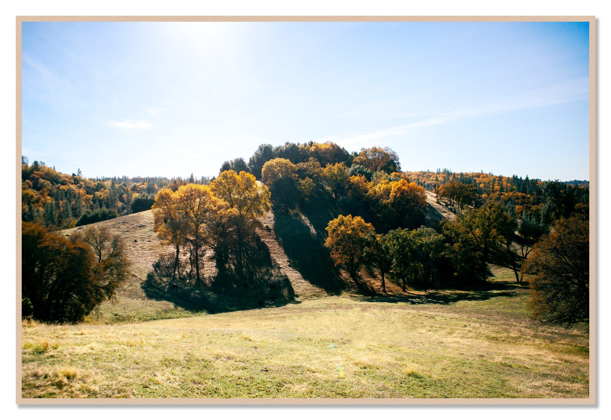 Where IGrew Up by Dylan Ozanich, 48×72 Full Bleed Print in a Maple frame