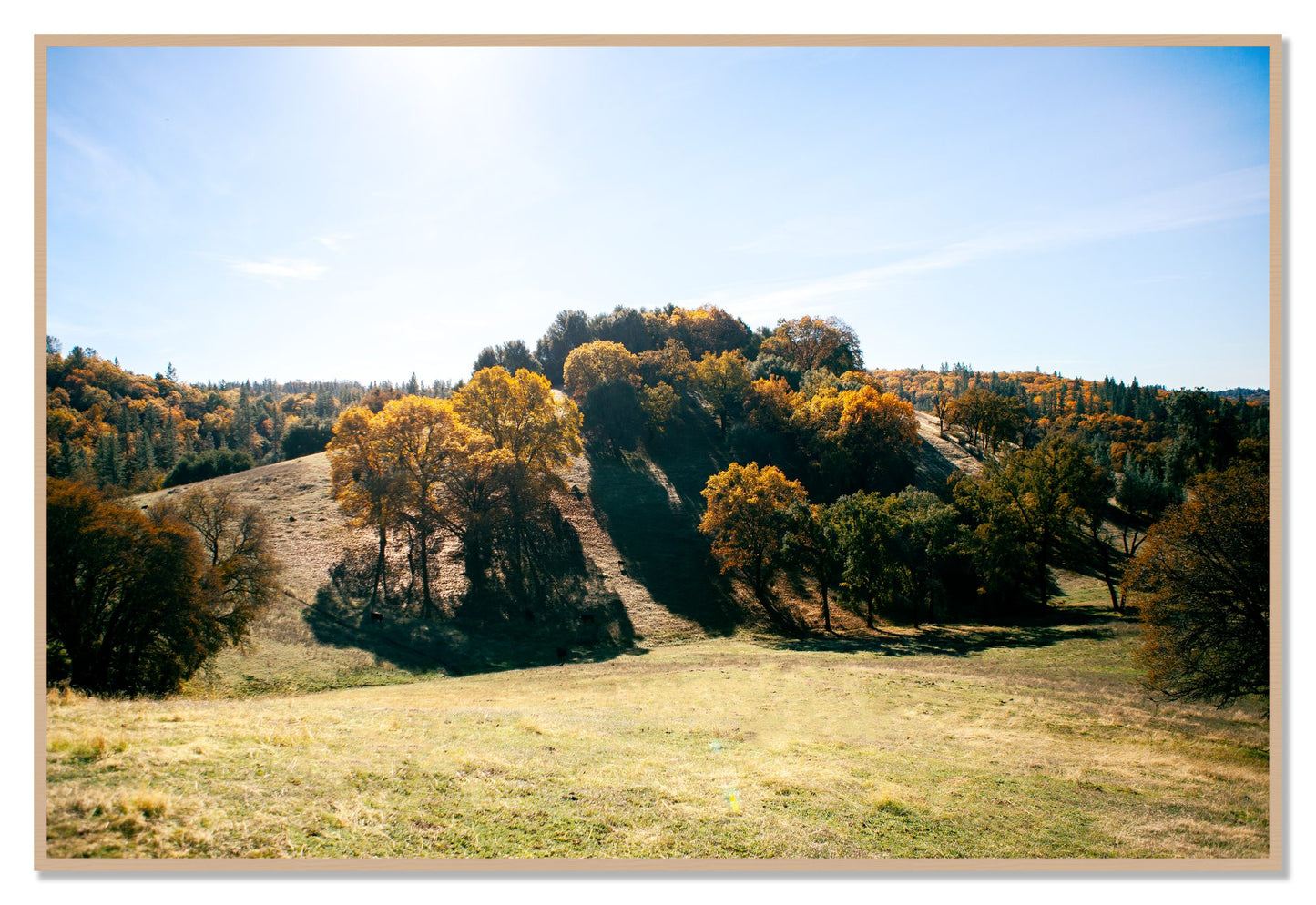 Where IGrew Up by Dylan Ozanich, 48×72 Full Bleed Print in an Oak frame