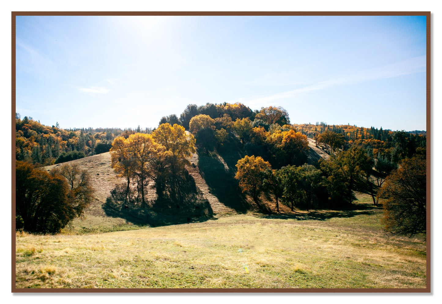Where IGrew Up by Dylan Ozanich, 48×72 Full Bleed Print in a Walnut frame
