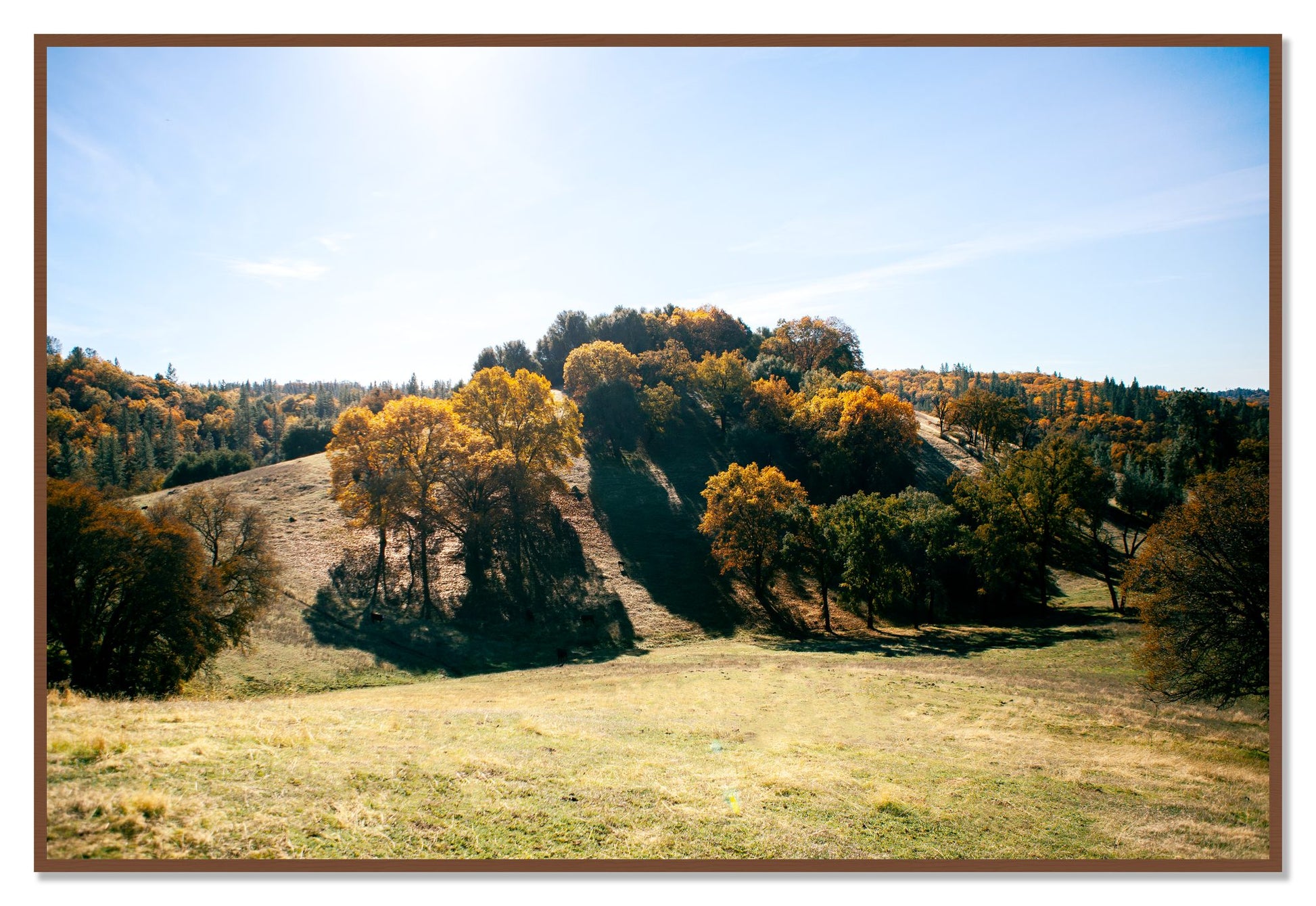 Where IGrew Up by Dylan Ozanich, 48×72 Full Bleed Print in a Walnut frame