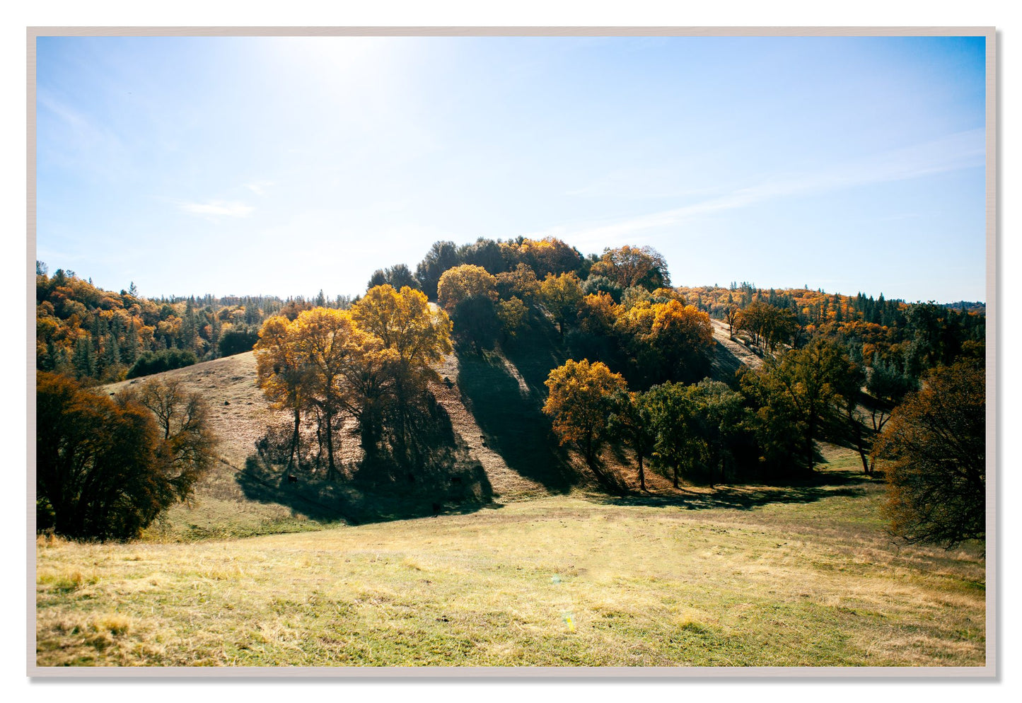 Where IGrew Up by Dylan Ozanich, 48×72 Full Bleed Print in a White Maple frame