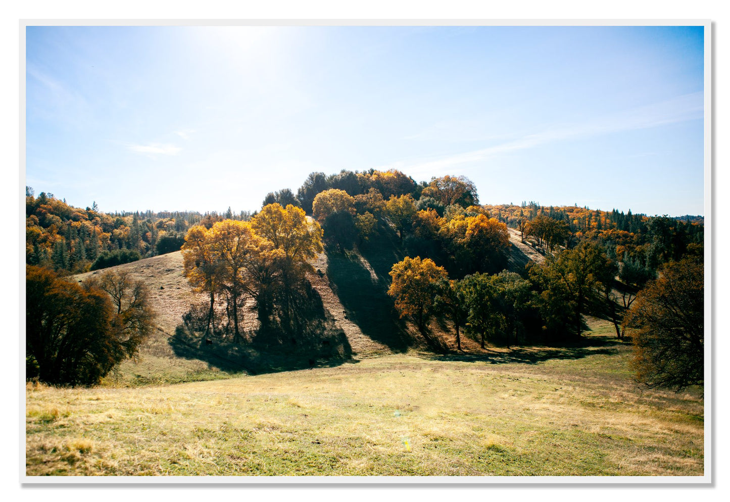 Where IGrew Up by Dylan Ozanich, 48×72 Full Bleed Print in a White frame