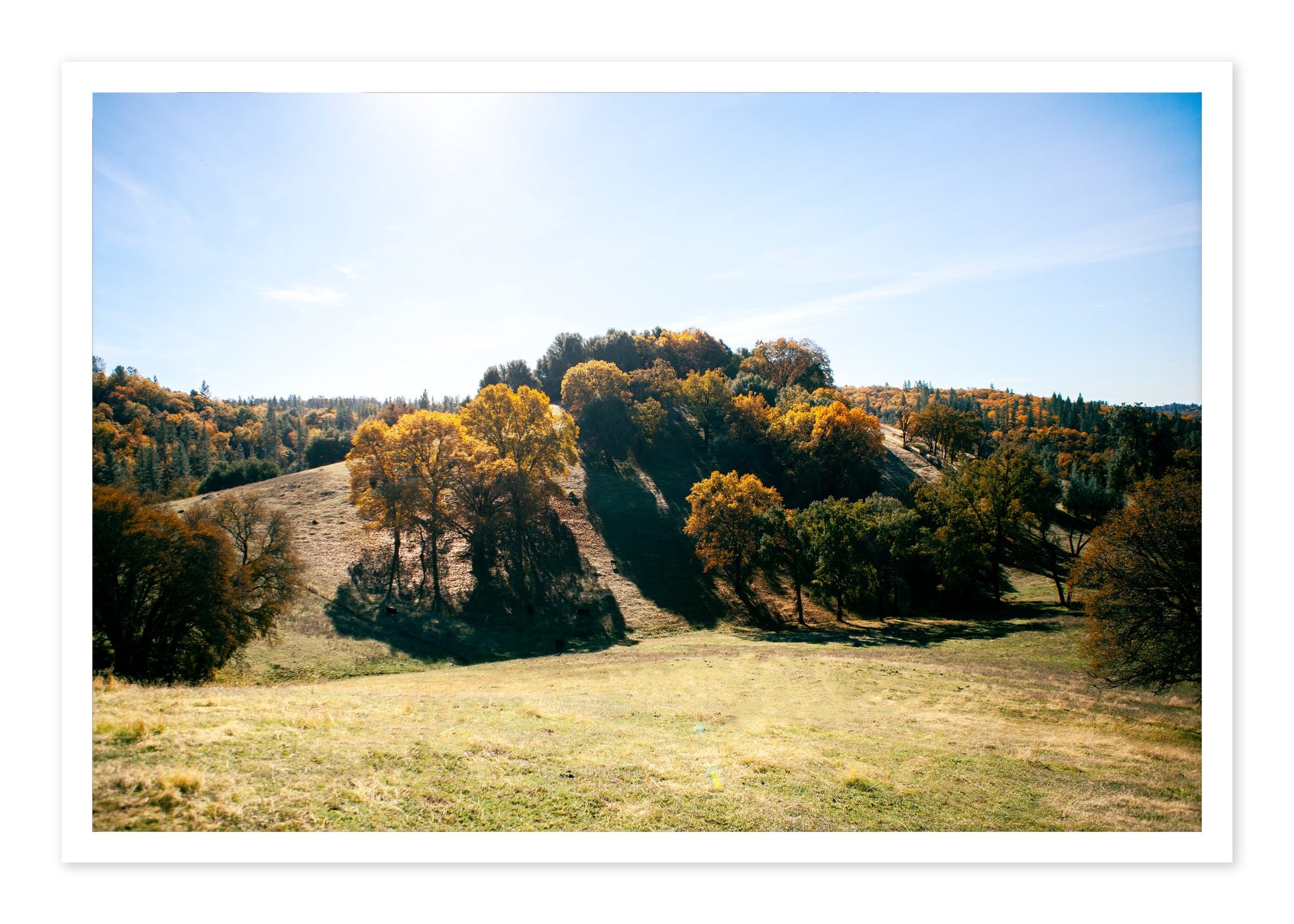 Where IGrew Up by Dylan Ozanich, 48×72 Fine Art Pigment Print on Hahnemühle Cotton Rag Paper, unframed