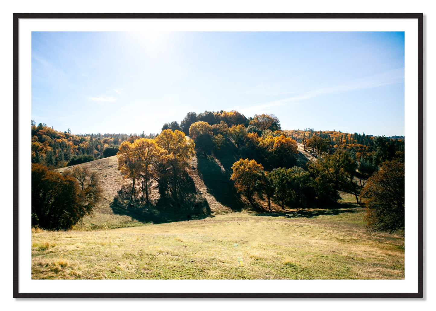 Framed photograph of Where IGrew Up by Dylan Ozanich, Black Walnut frame, Borders